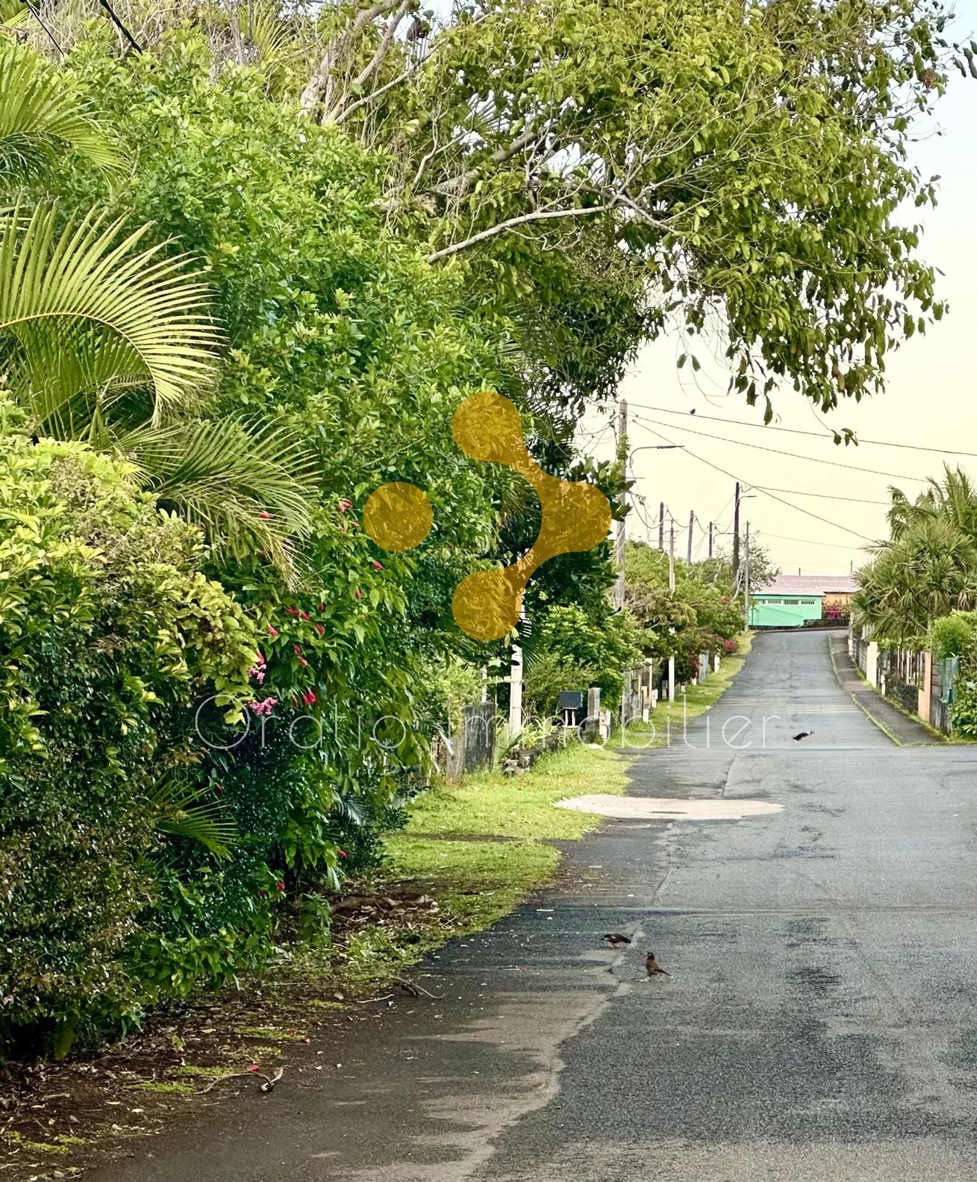 Κατοικητικός σε Saint-Philippe, La Réunion 12758808