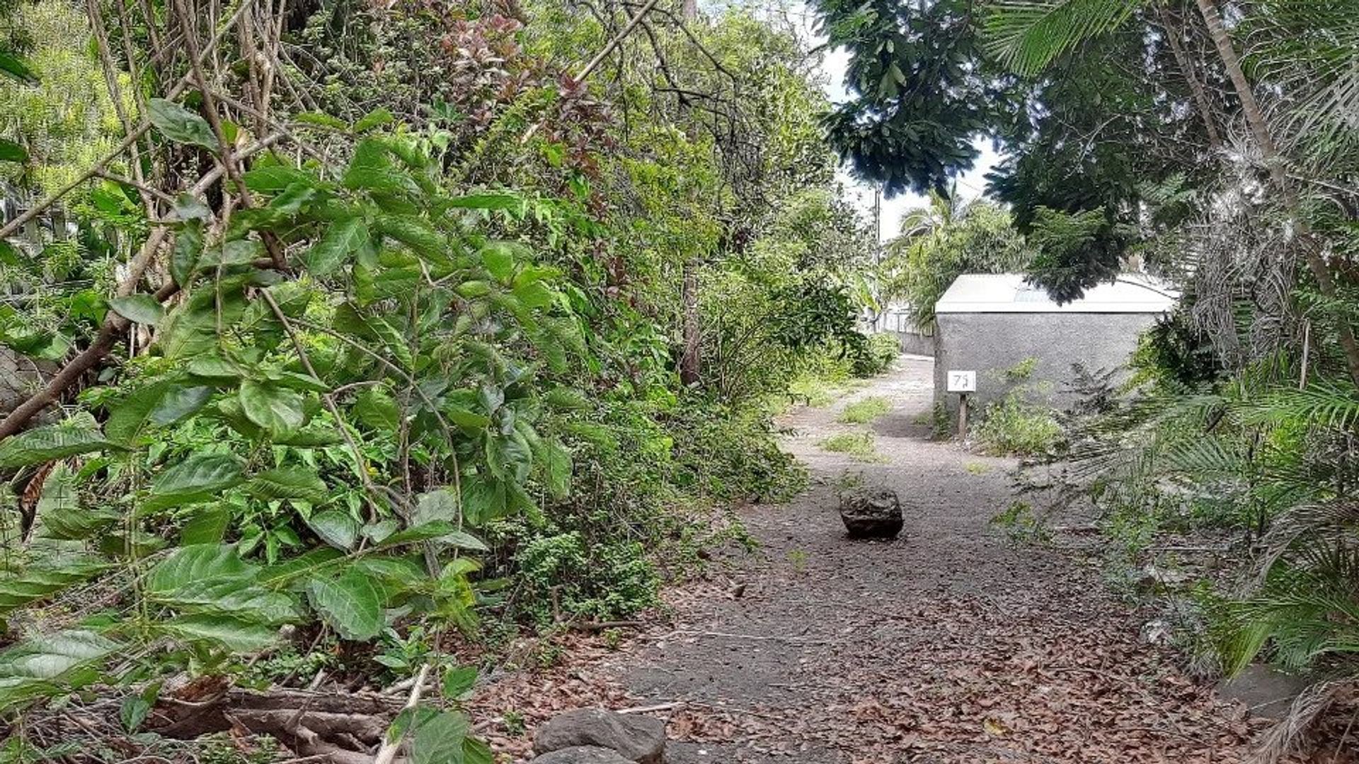 Tanah dalam La Rivière, La Réunion 12758932