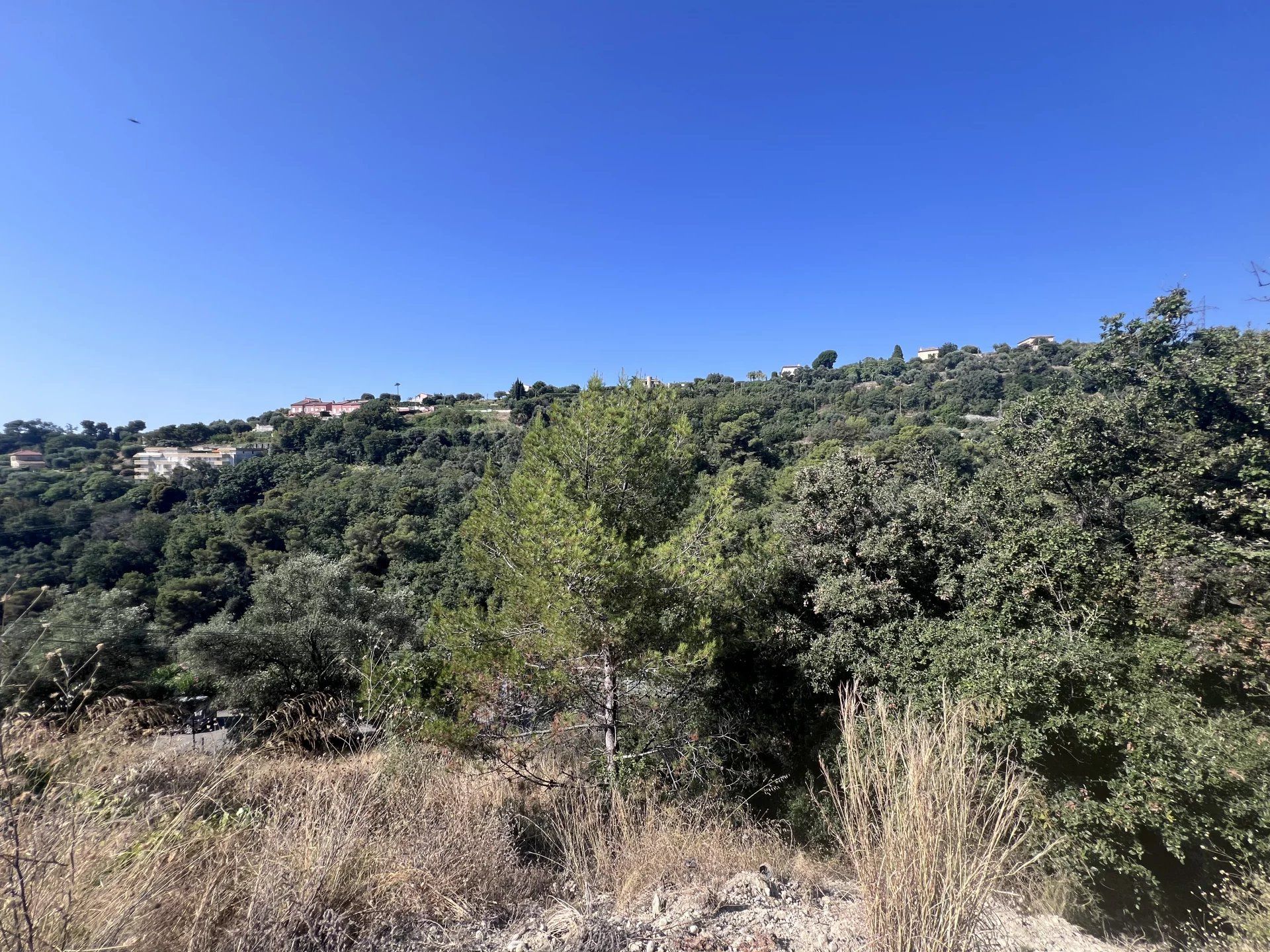 Land in Nice, Provence-Alpes-Cote d'Azur 12761461