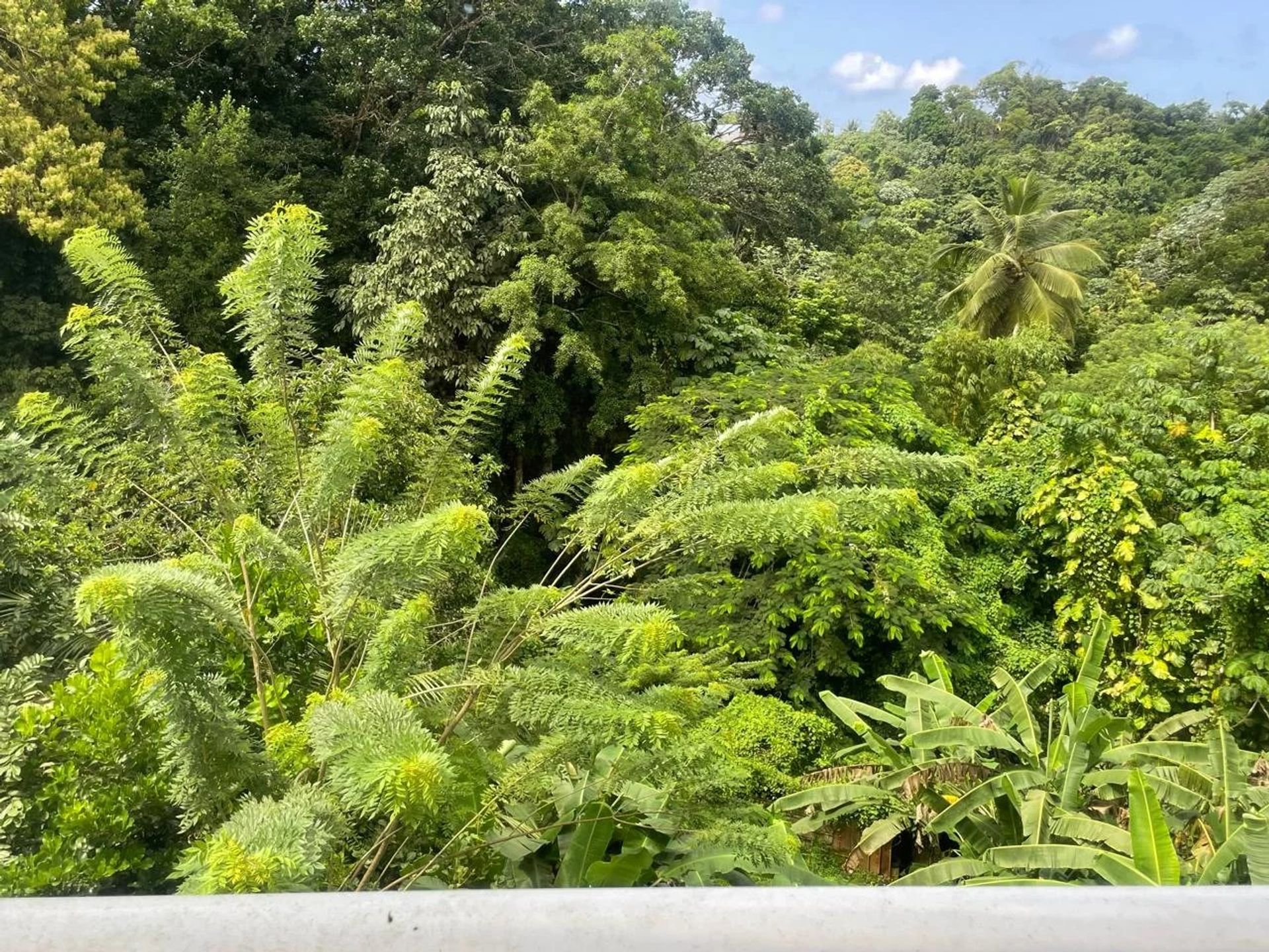 Condomínio no Fort-de-France, Martinique 12762035