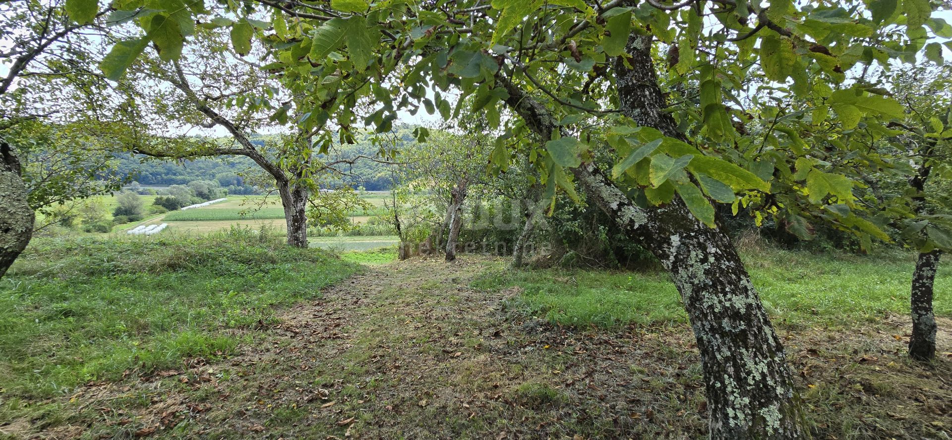 Land i Cerovlje, Istria County 12763128