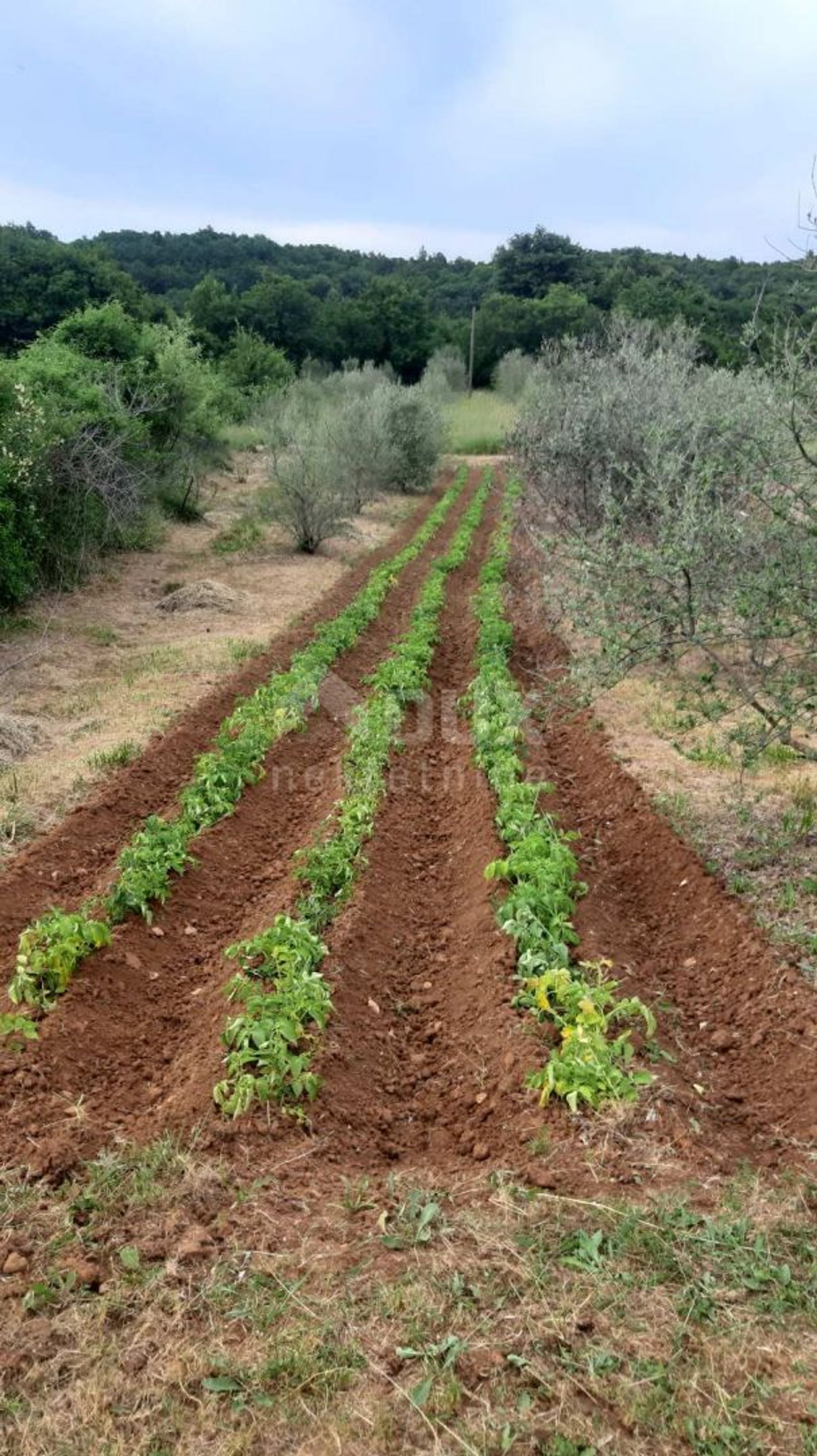 بيت في Labin, Istria County 12763130