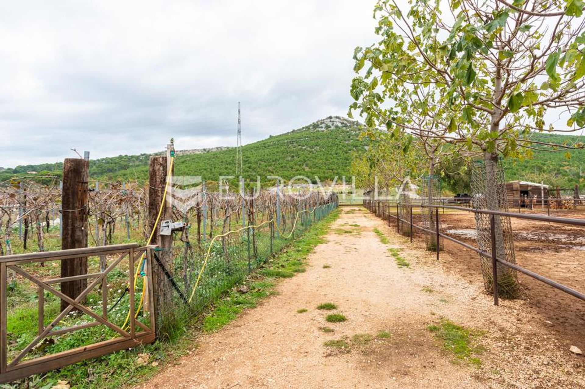 Tierra en Dubrava Kod Šibenika, Šibensko-kninska županija 12765459