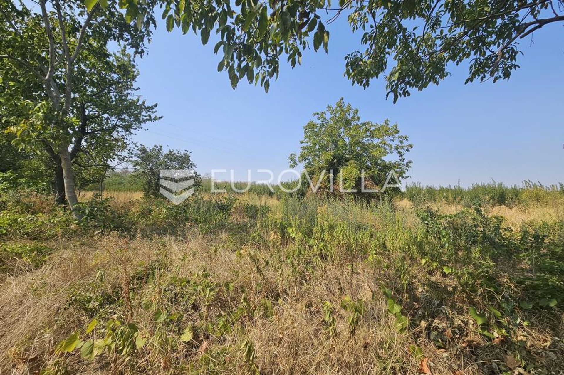 Land in Borovo, Vukovarsko-Srijemska Zupanija 12765564