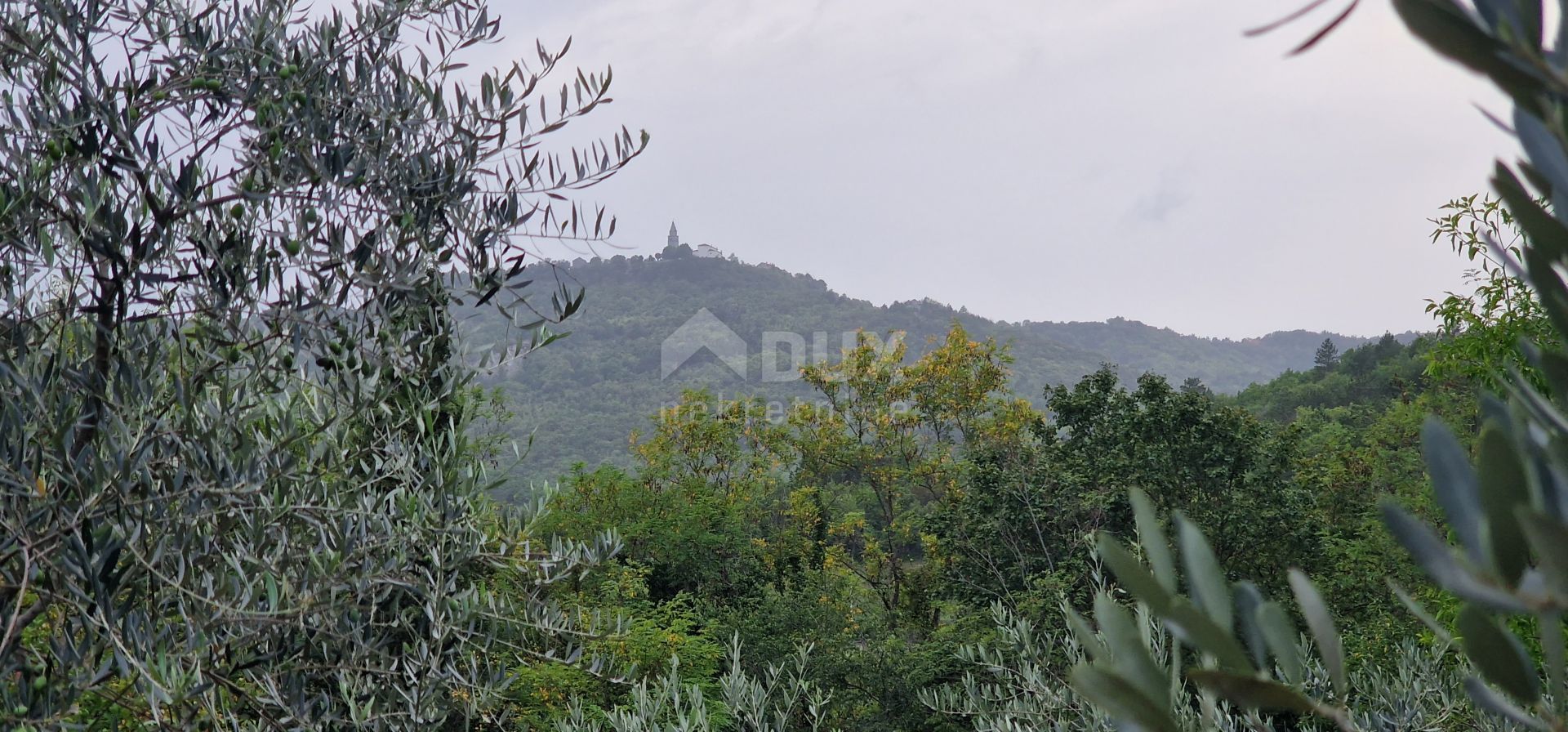 Tanah dalam Gračišće, Istria County 12765917