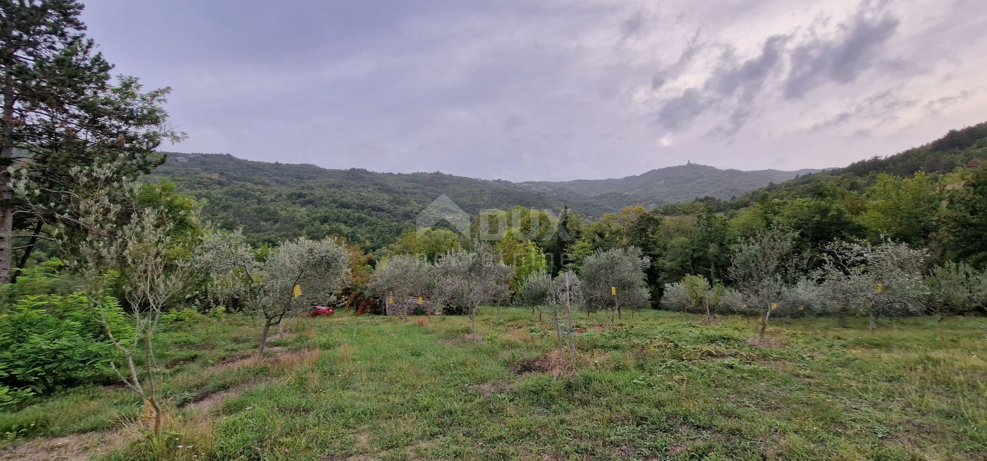 Tanah dalam Gračišće, Istria County 12765917