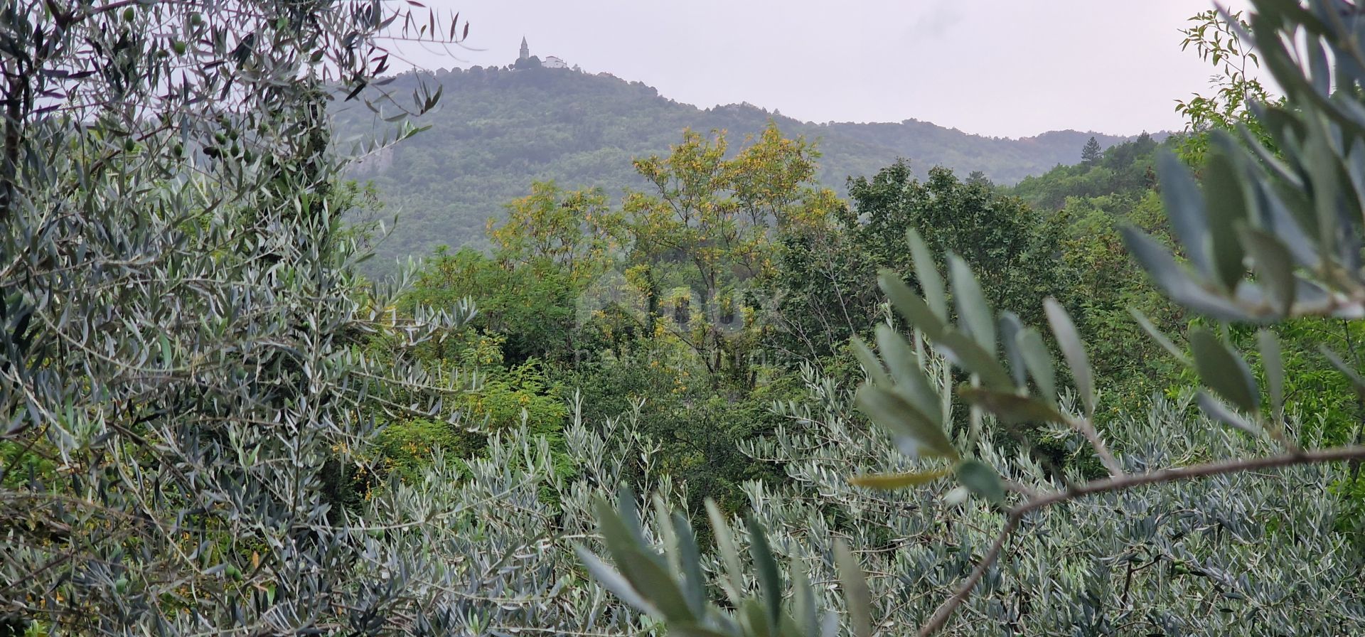 Tanah dalam Gračišće, Istria County 12765917