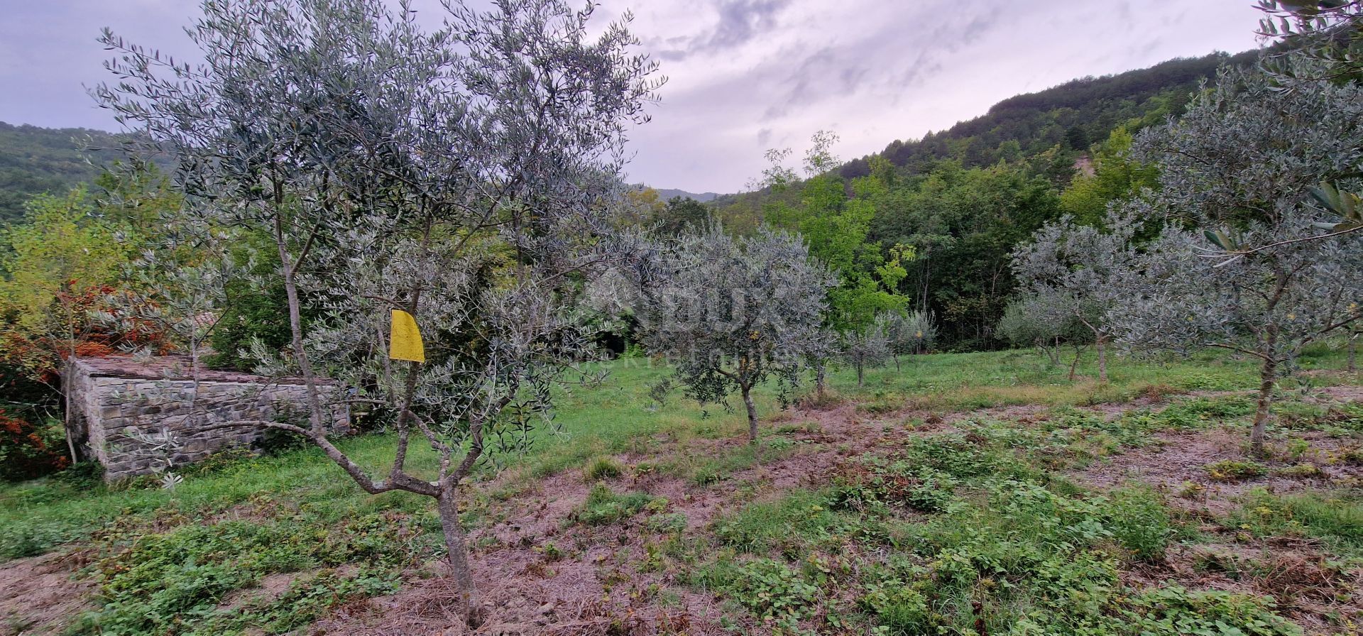 Tanah dalam Gračišće, Istria County 12765917