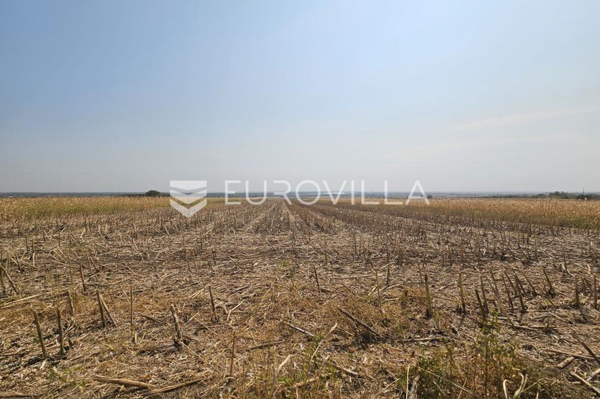 Terre dans Borovo, Vukovarsko-Srijemska Zupanija 12766217