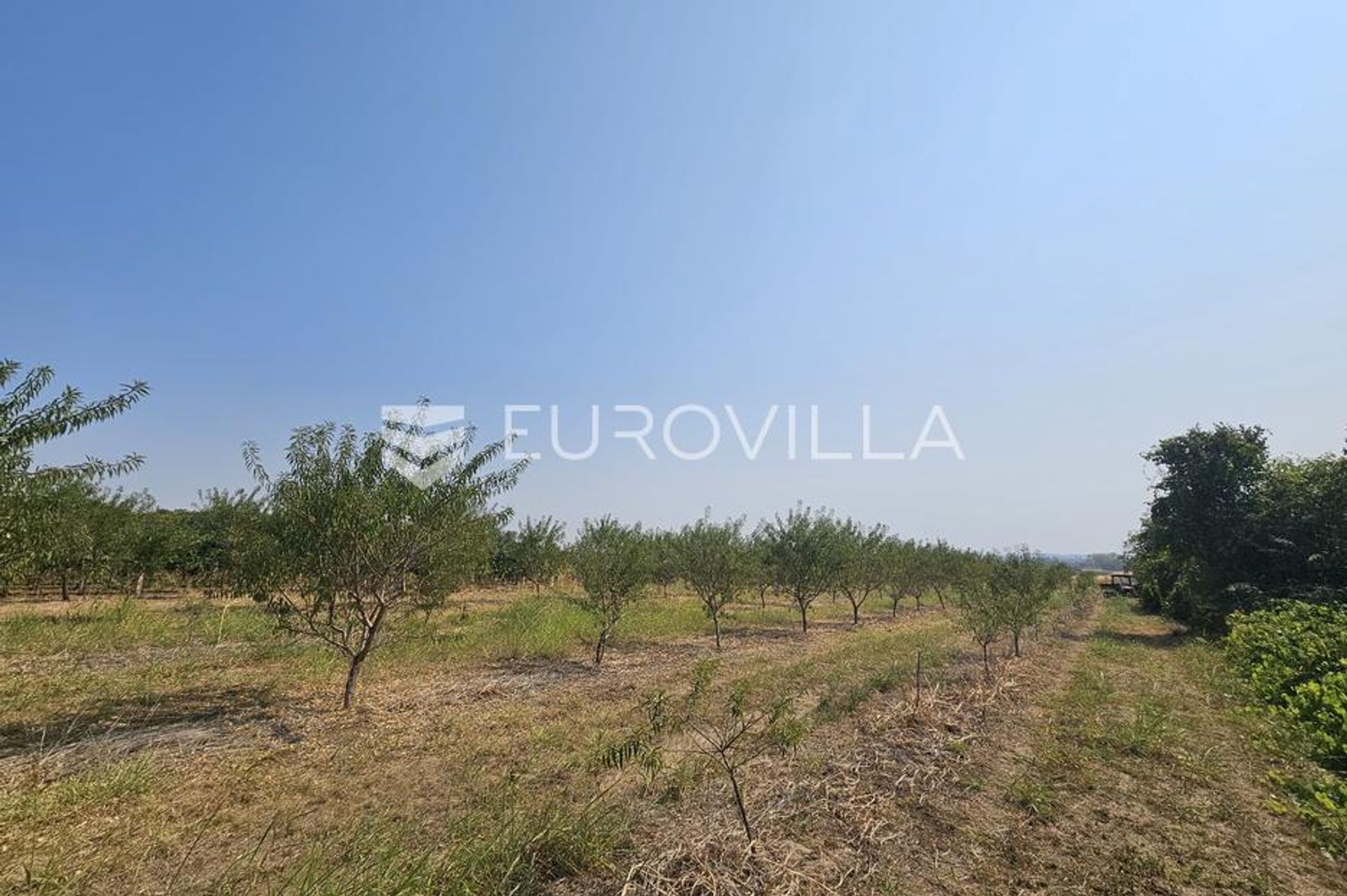 Land in Dalj, Osječko-baranjska županija 12766217