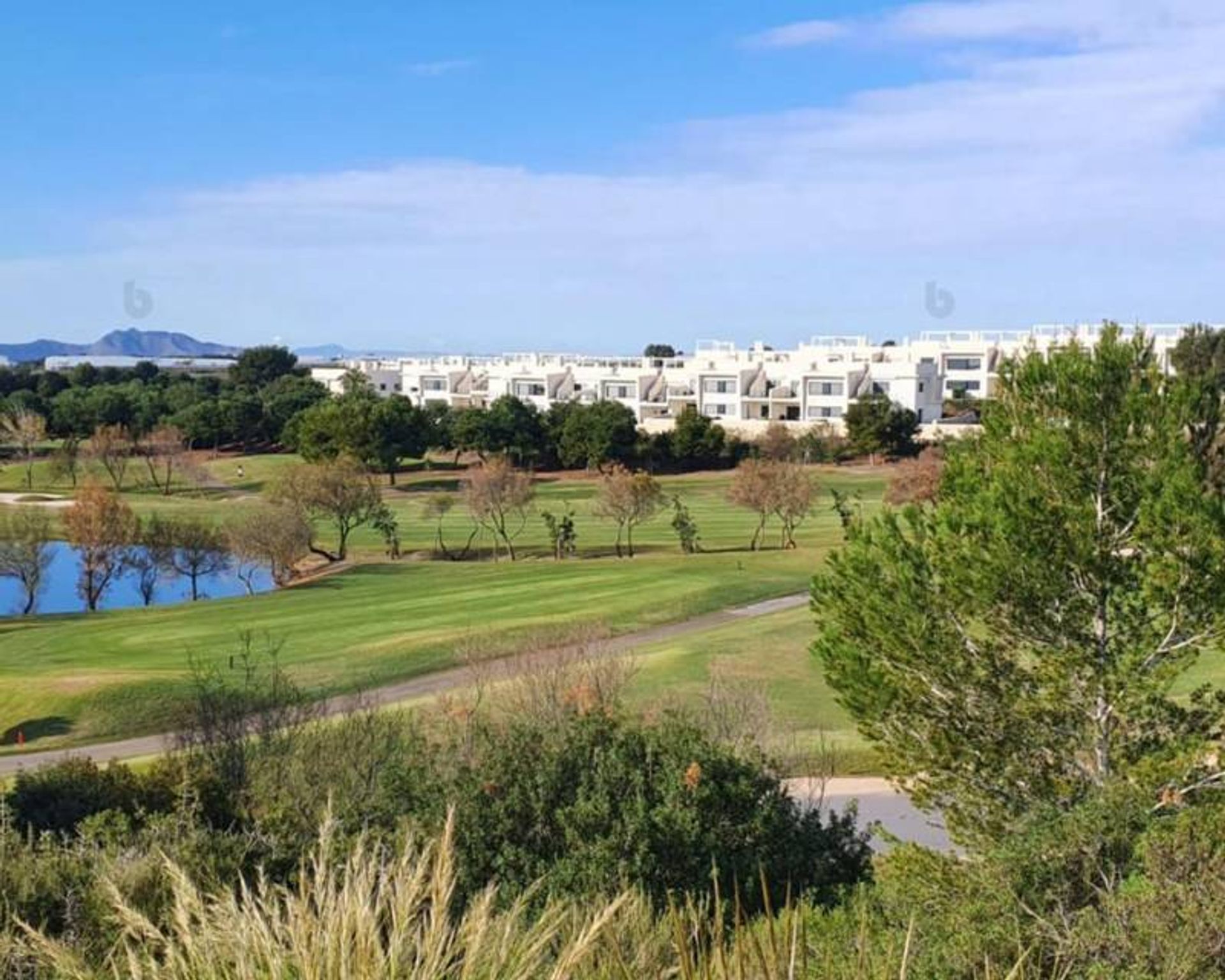 House in Pilar de la Horadada, Comunidad Valenciana 12766278