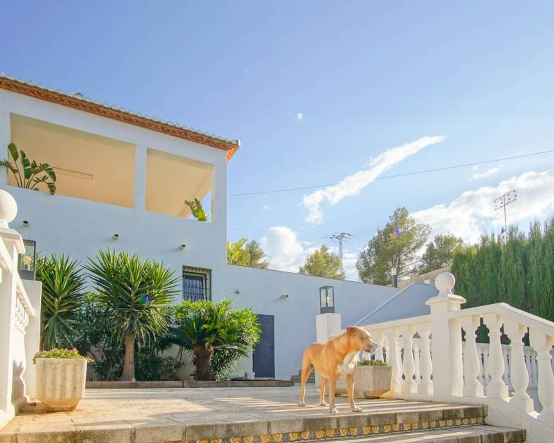 Haus im Denia, Comunidad Valenciana 12766536