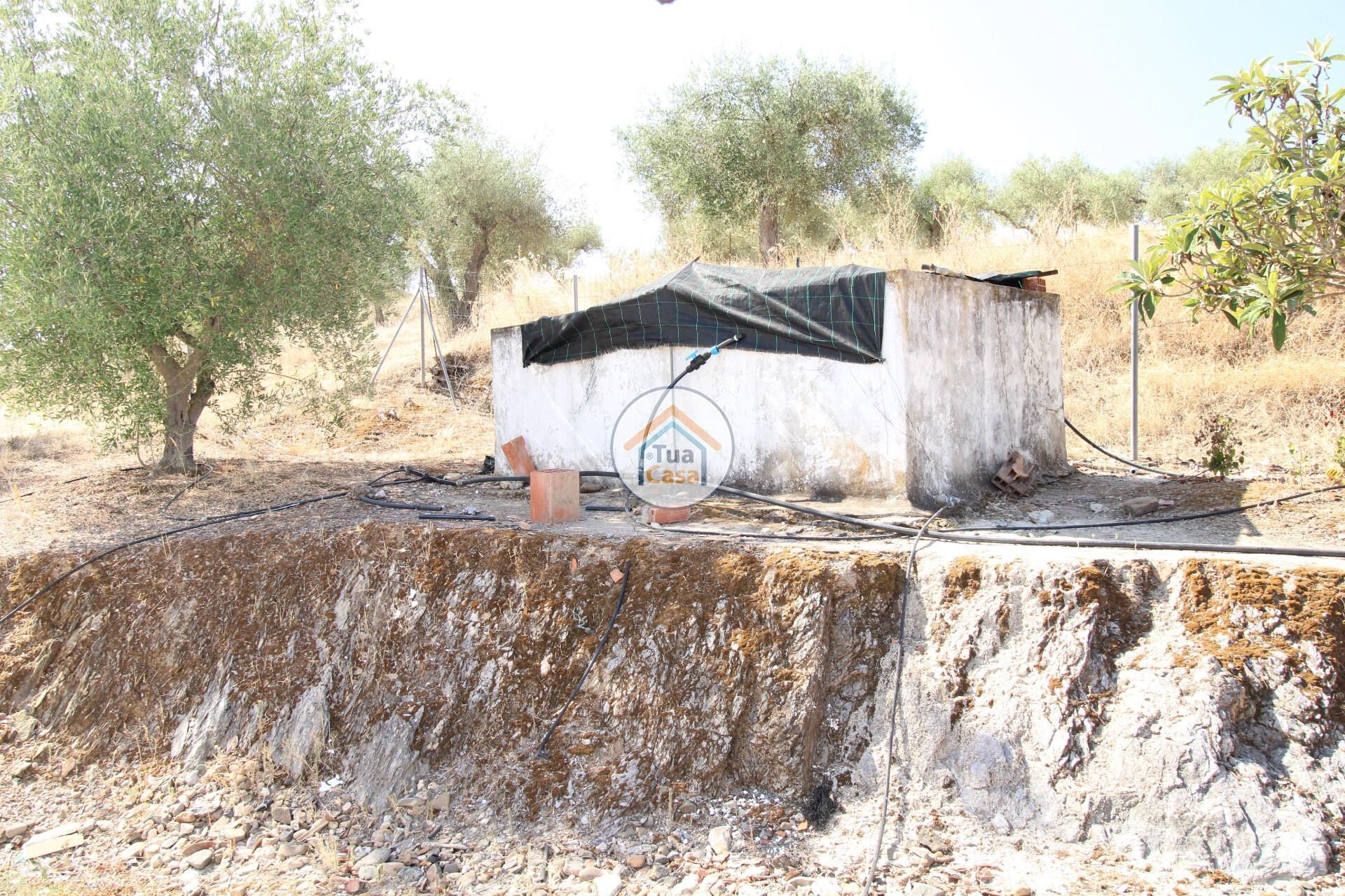 σπίτι σε , Beja District 12767783