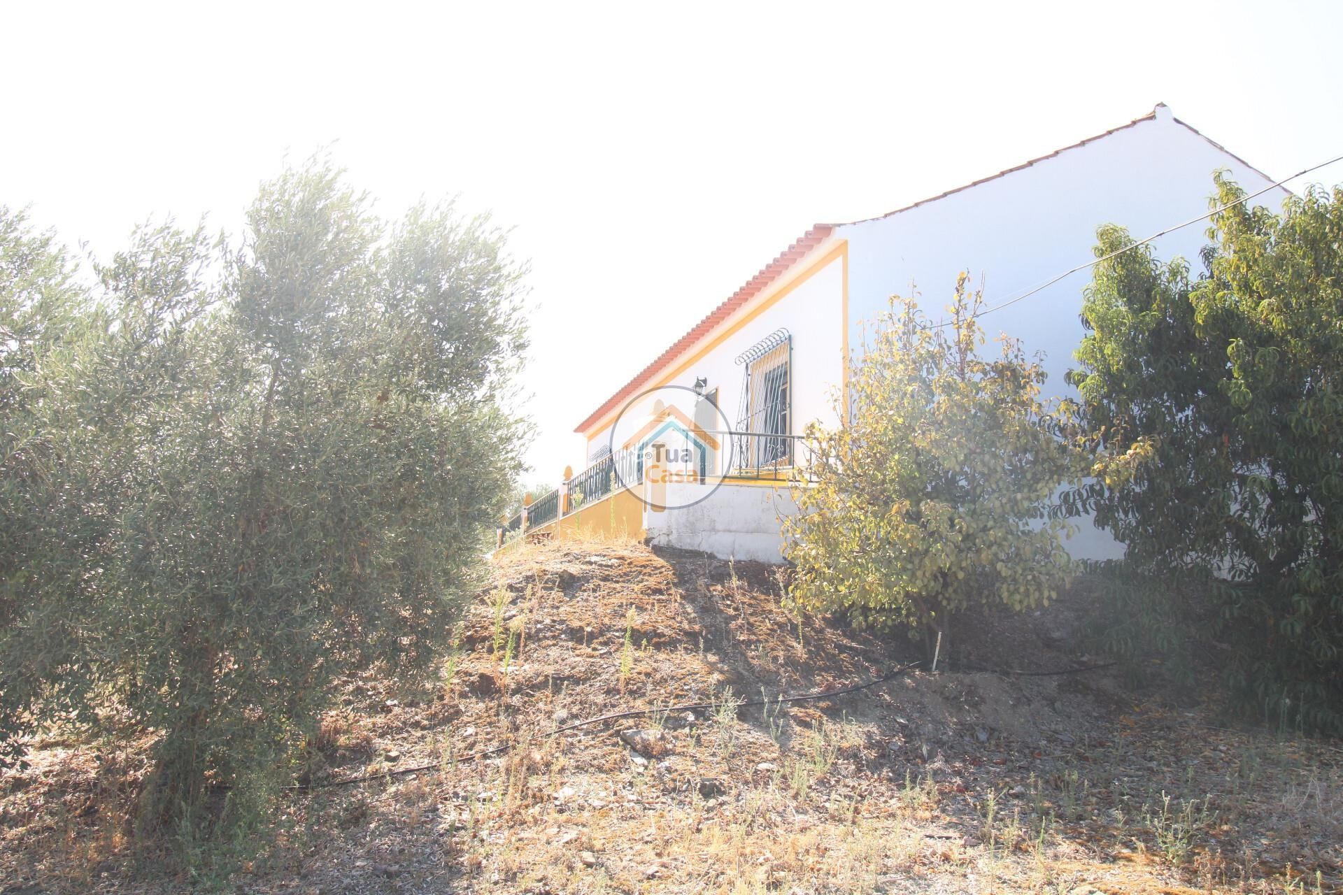 Hus i Safara, Beja 12767783