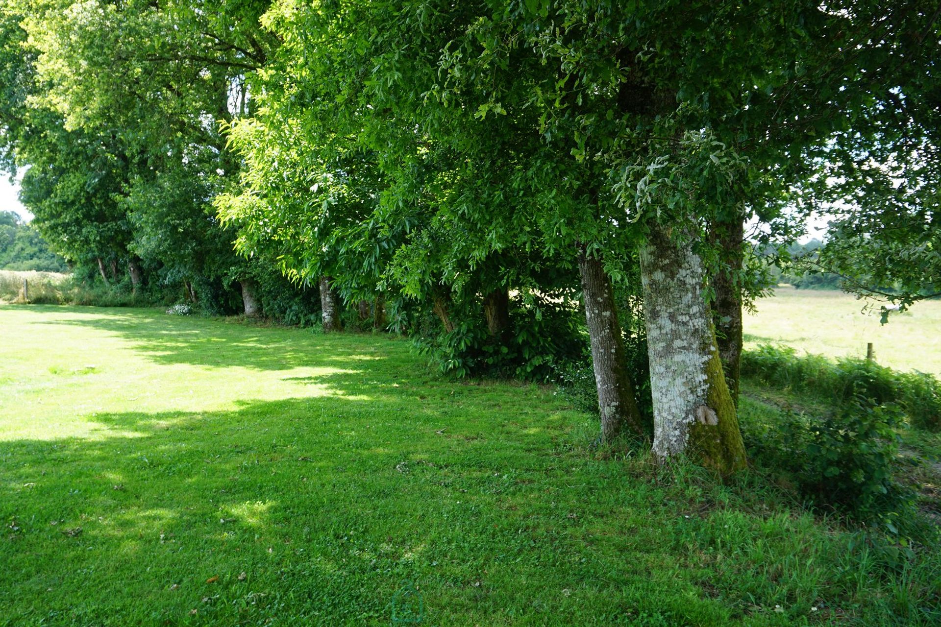 Hus i Saint-Martin-de-Fressengeas, Nouvelle-Aquitaine 12769590