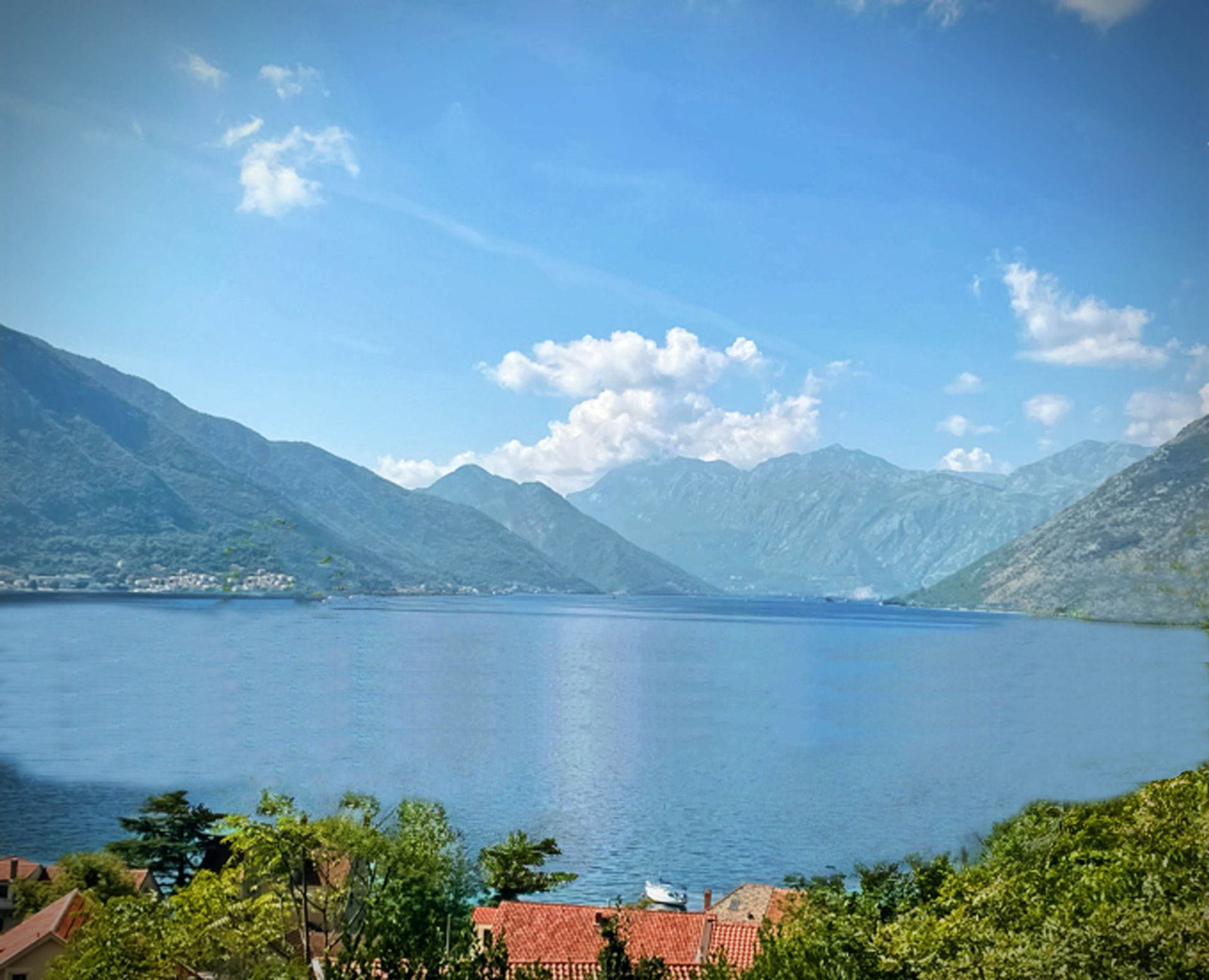 房子 在 Kotor, Kotor 12771478