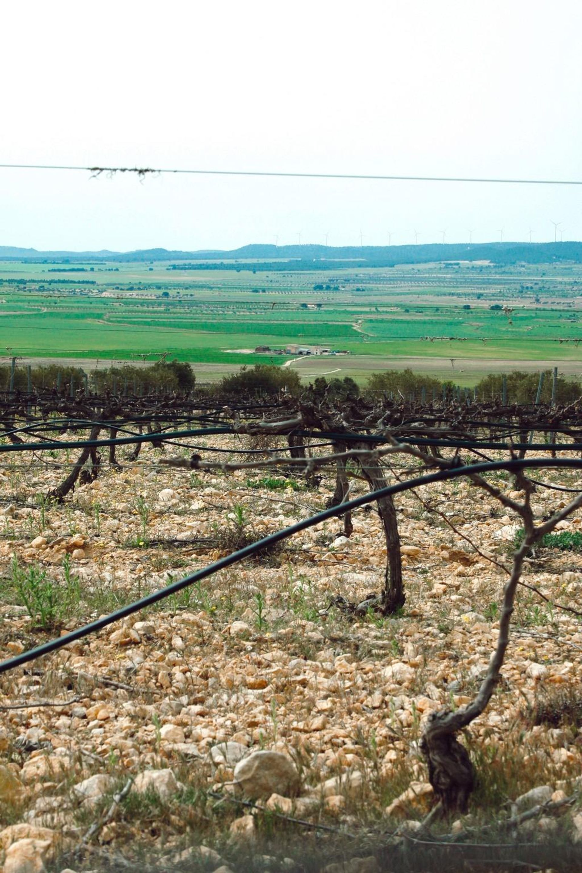 loger dans Yecla, Región de Murcia 12771651