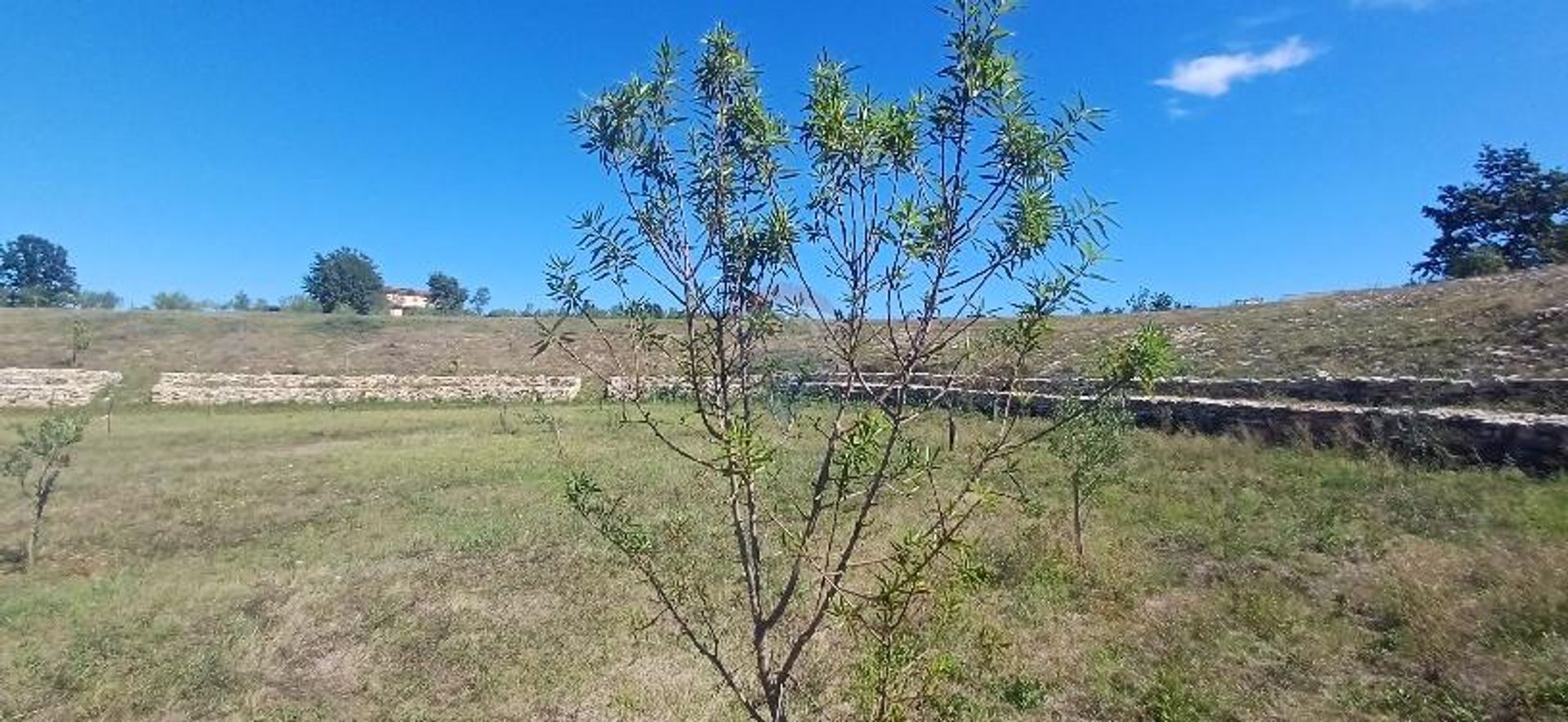 土地 在 Boškari, Istarska županija 12772088