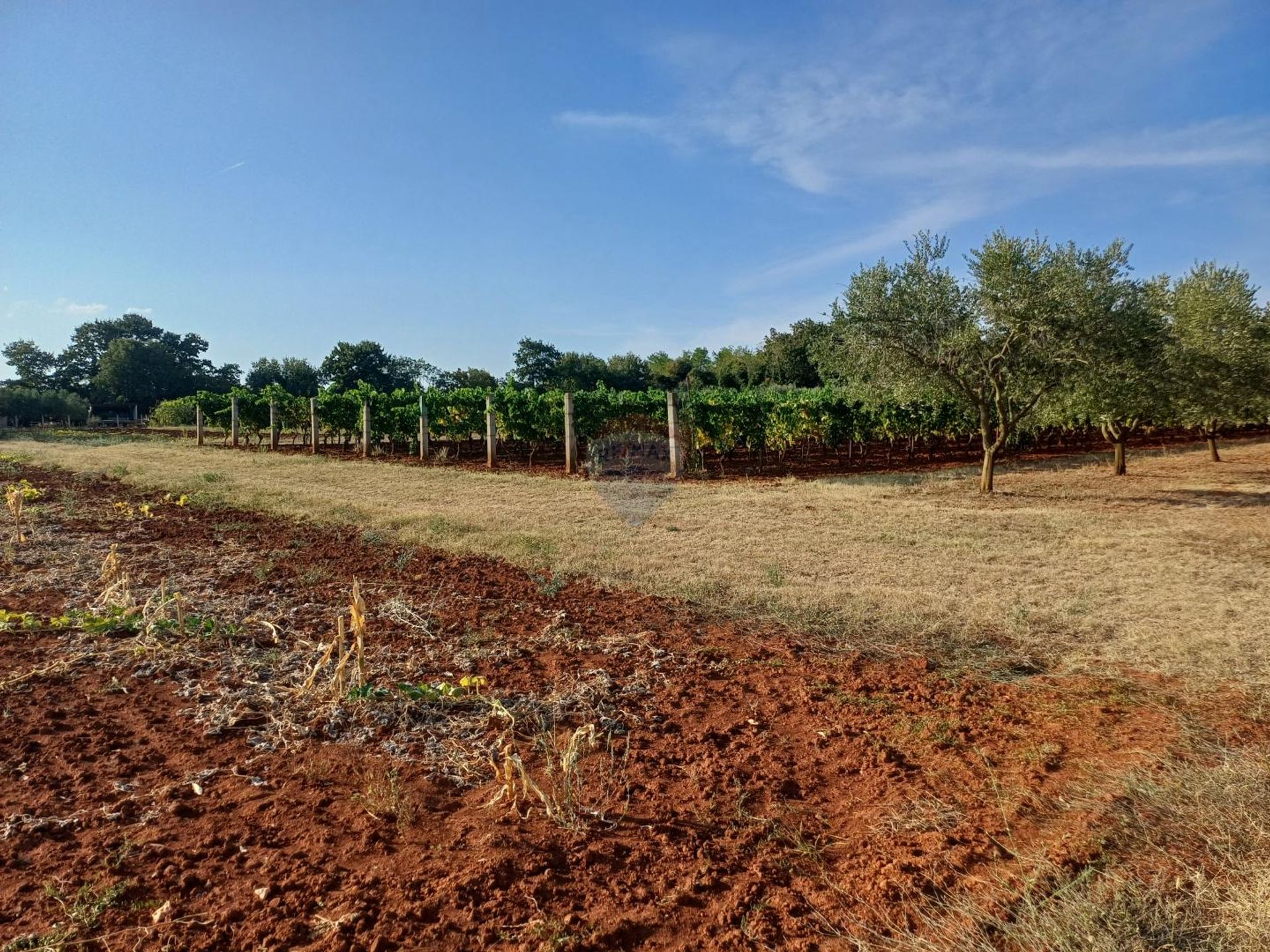 rumah dalam Marčana, Istarska županija 12772098