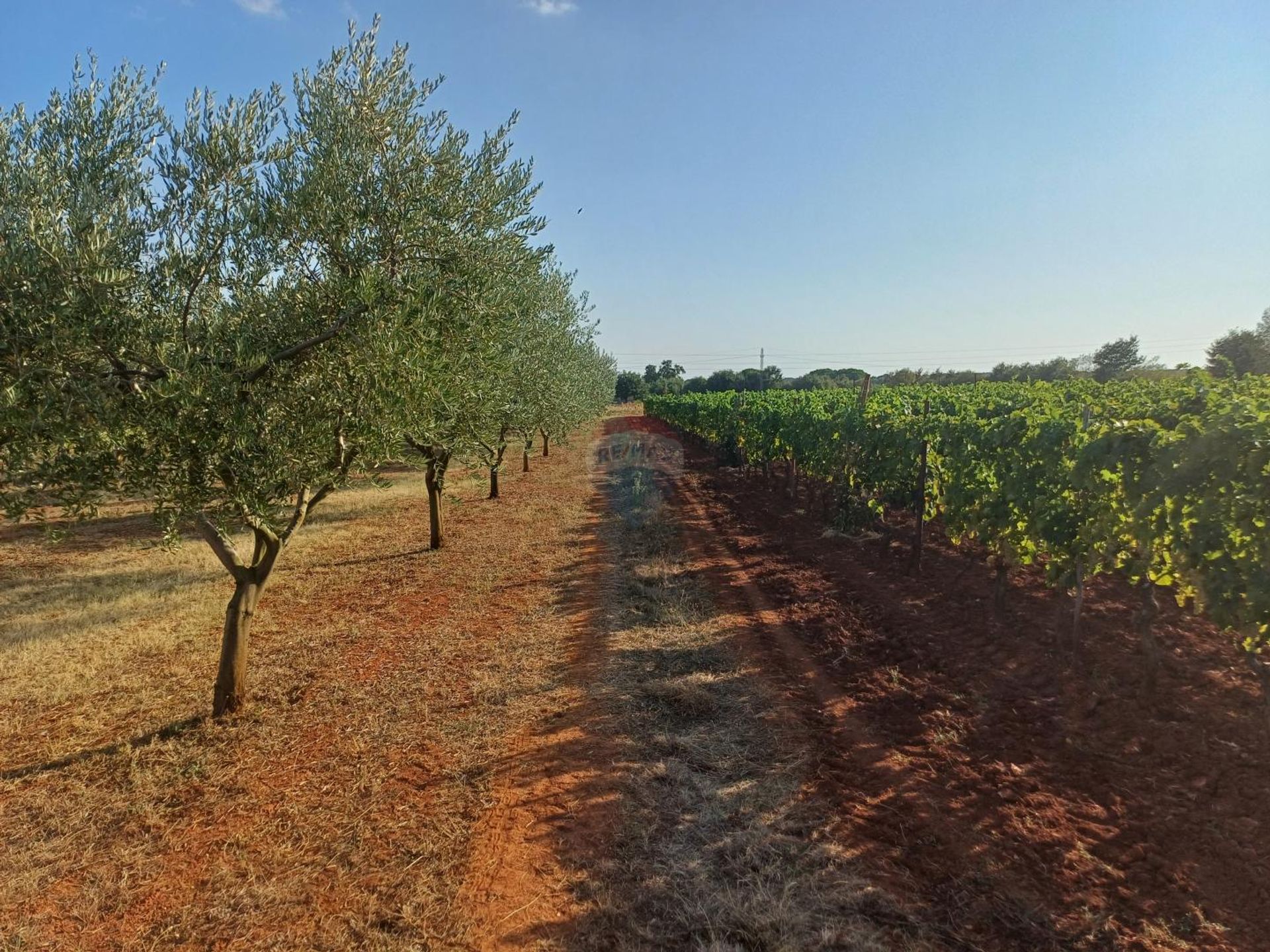 rumah dalam Marčana, Istarska županija 12772098