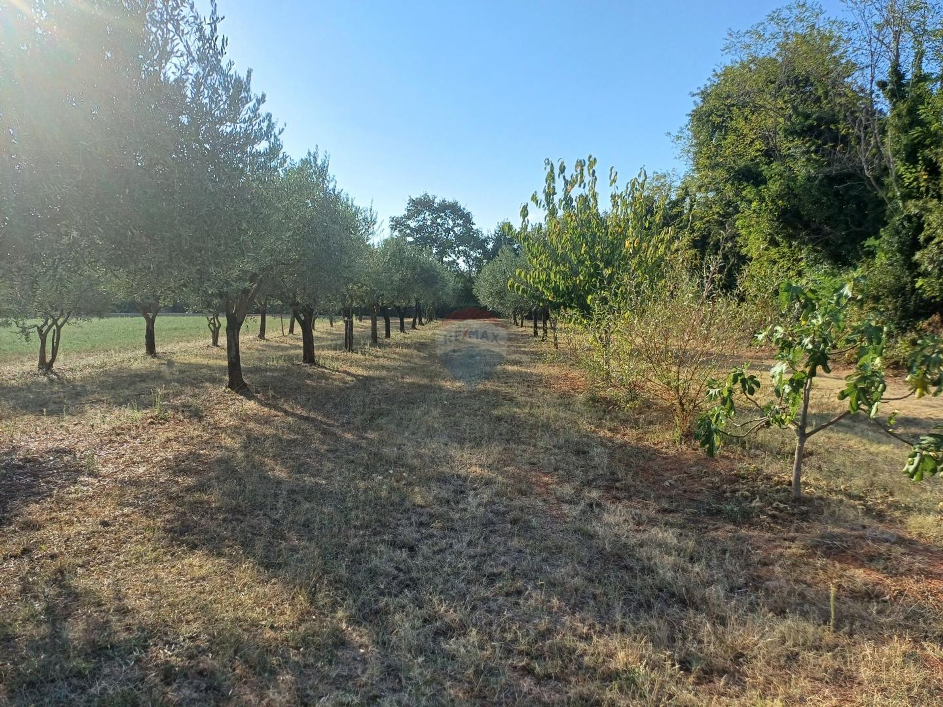 rumah dalam Marčana, Istarska županija 12772098