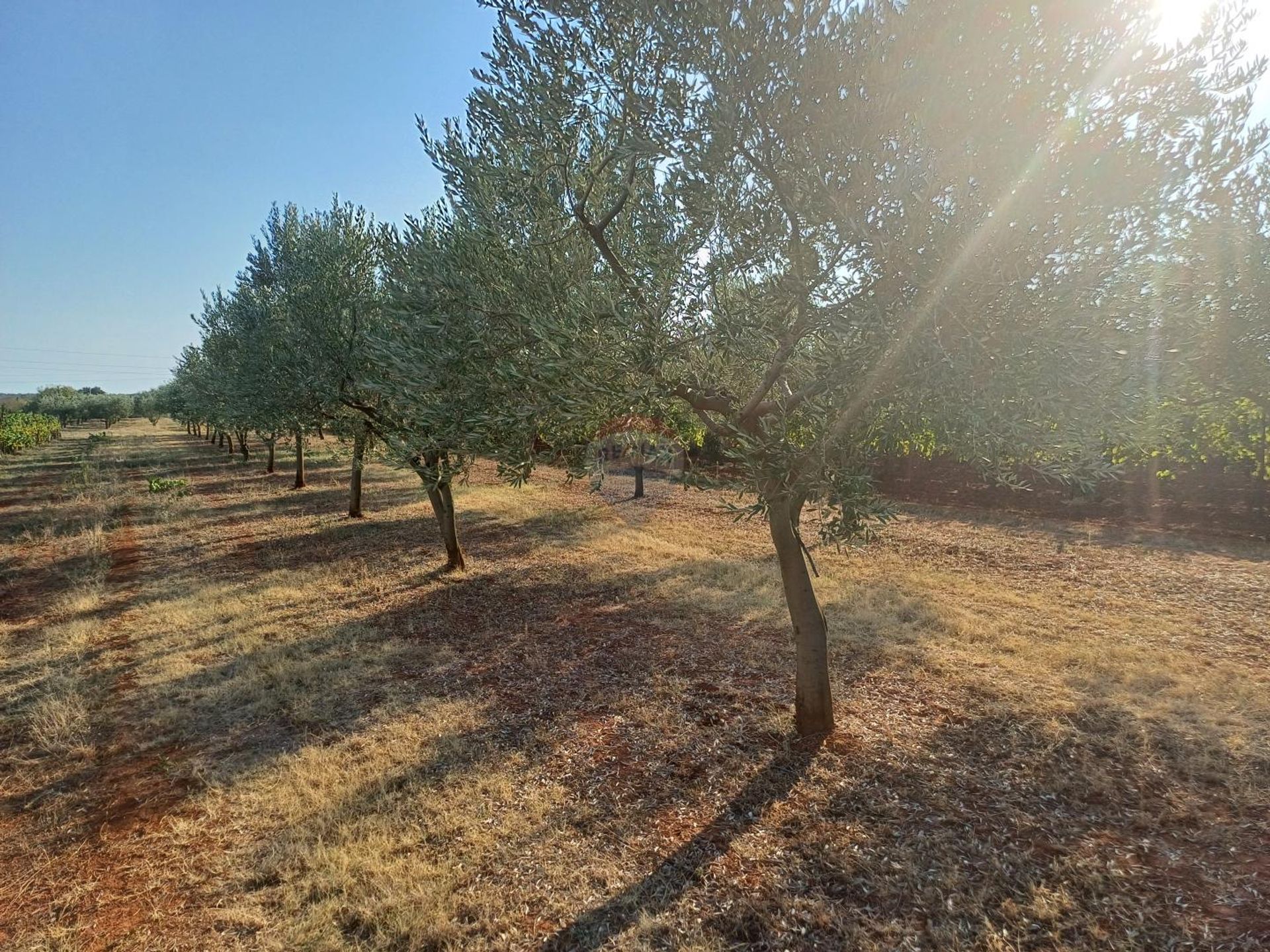 rumah dalam Marčana, Istarska županija 12772098