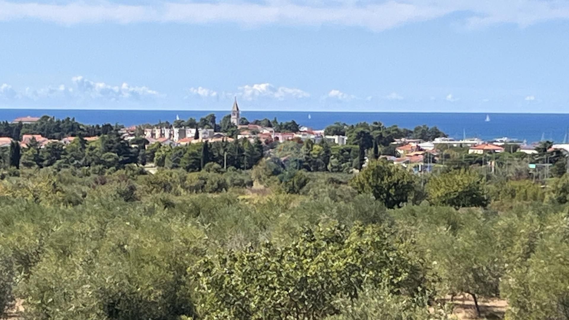 Haus im Novigrad, Istarska županija 12772104