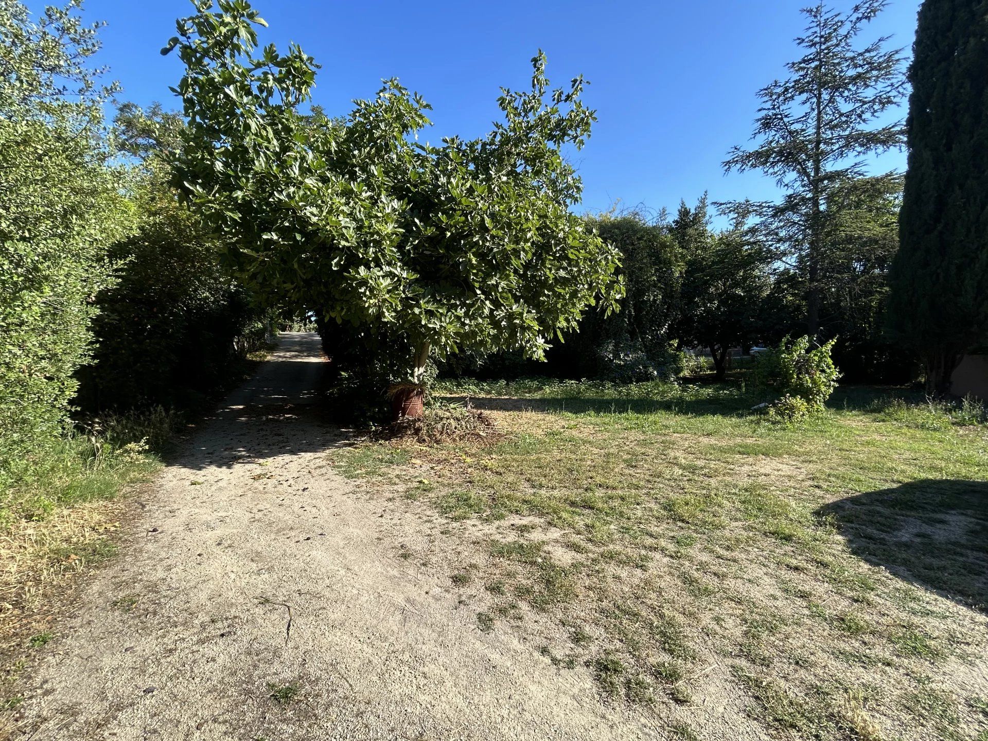 土地 在 La Ciotat, Bouches-du-Rhône 12772739