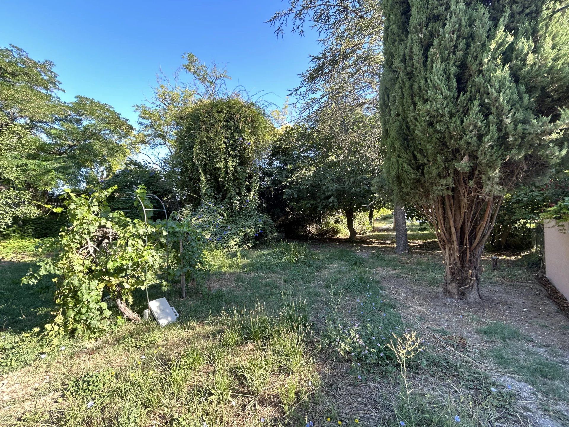 土地 在 La Ciotat, Bouches-du-Rhône 12772739