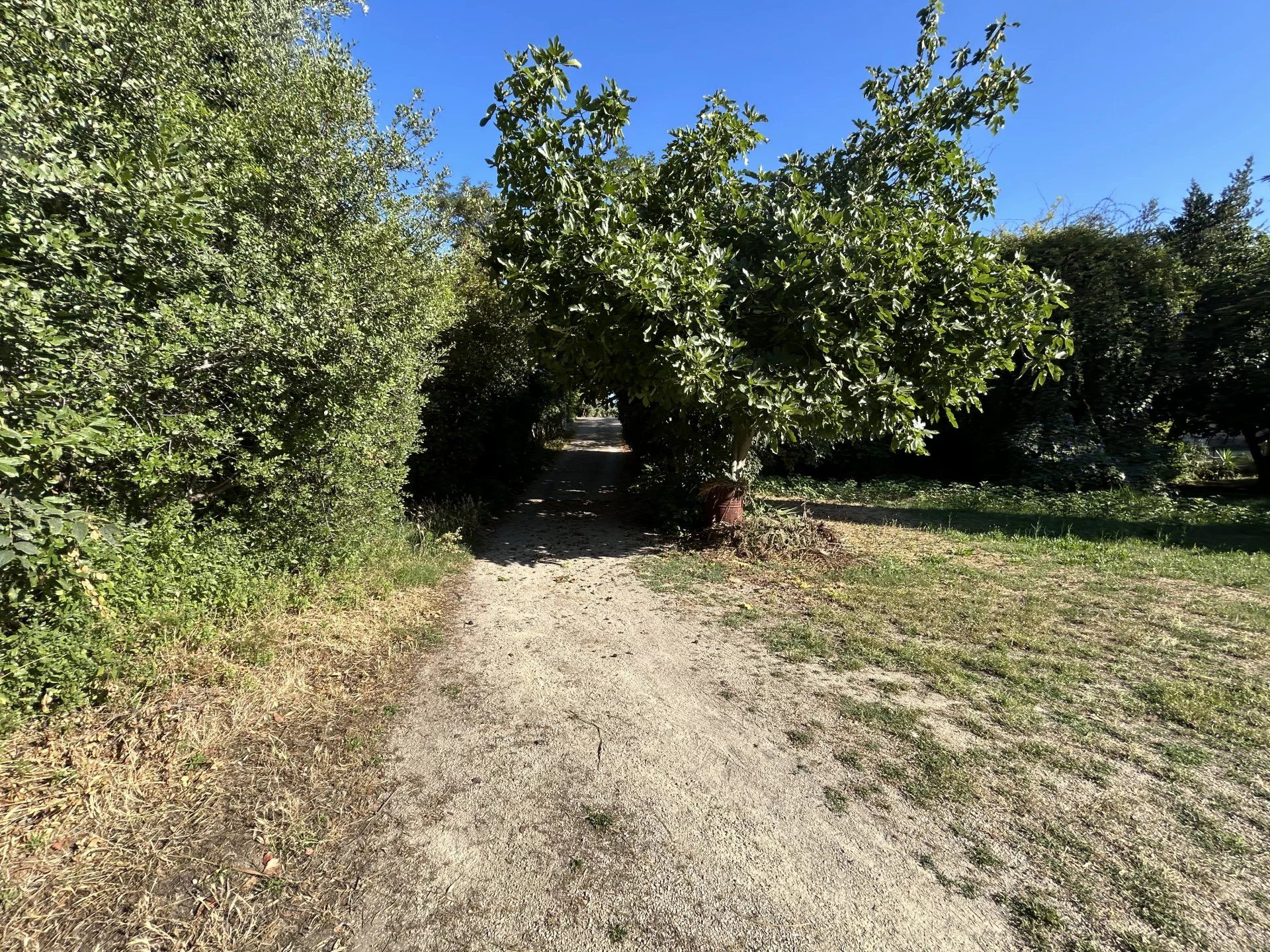 土地 在 La Ciotat, Bouches-du-Rhône 12772739