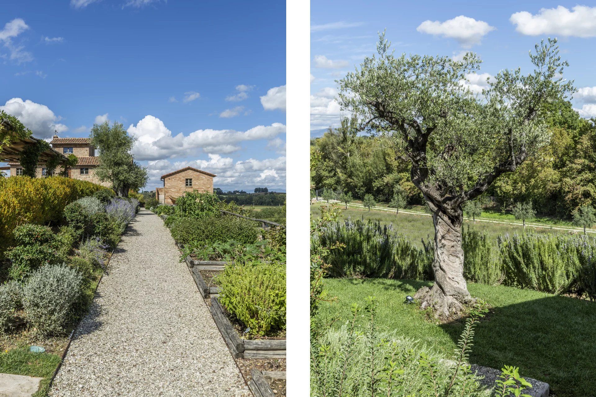 집 에 Montepulciano, Siena 12772986