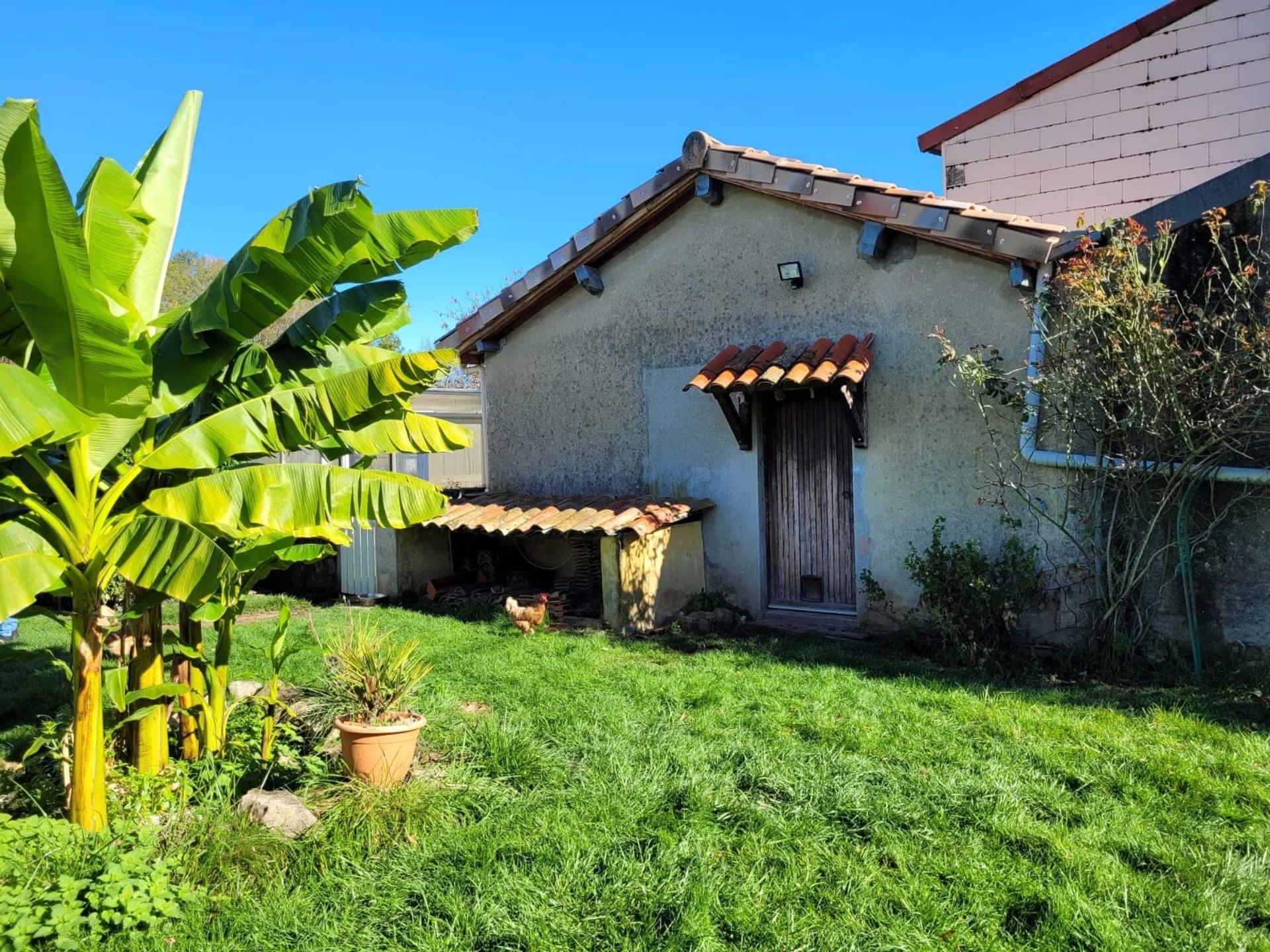 Hus i Villeneuve-d'Olmes, Occitanie 12772991