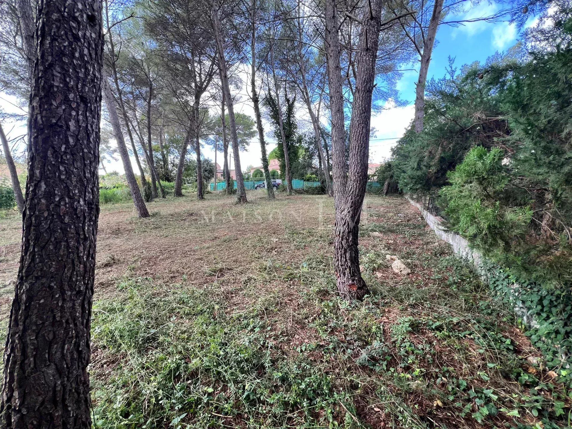 آخر في Mougins, Alpes-Maritimes 12773008