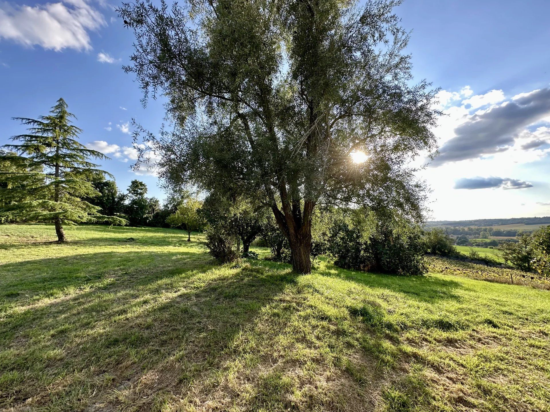 Huis in L'Isle-Jourdain, Occitanië 12773287