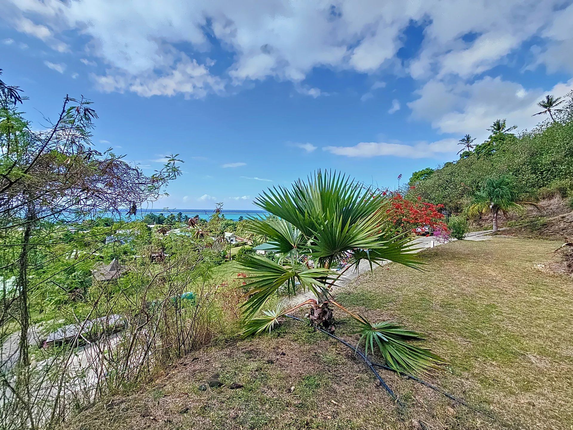 土地 在 Moorea-Maiao, Îles du Vent 12773811