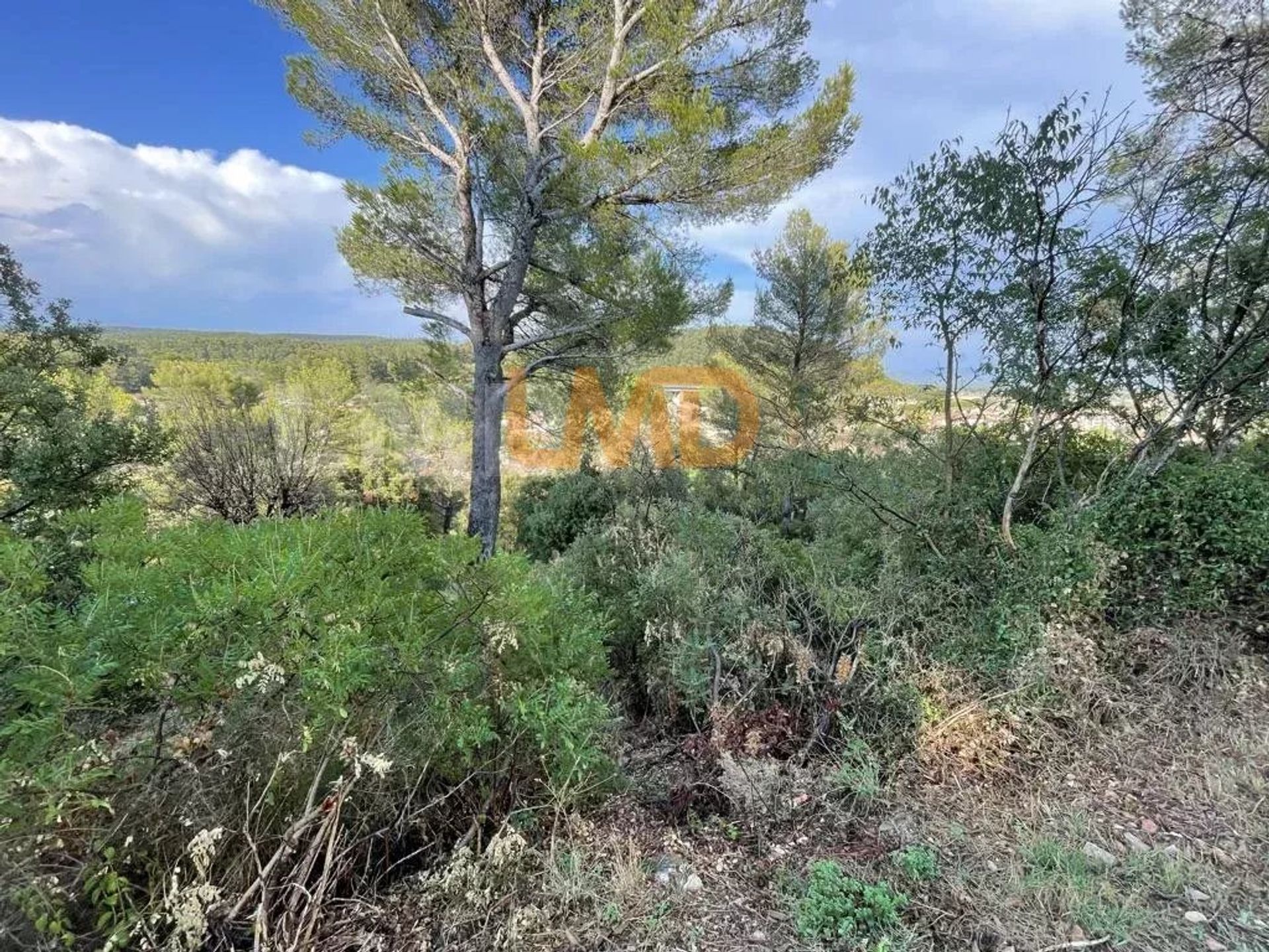 Land im Le Luc, Provence-Alpes-Côte d'Azur 12774885