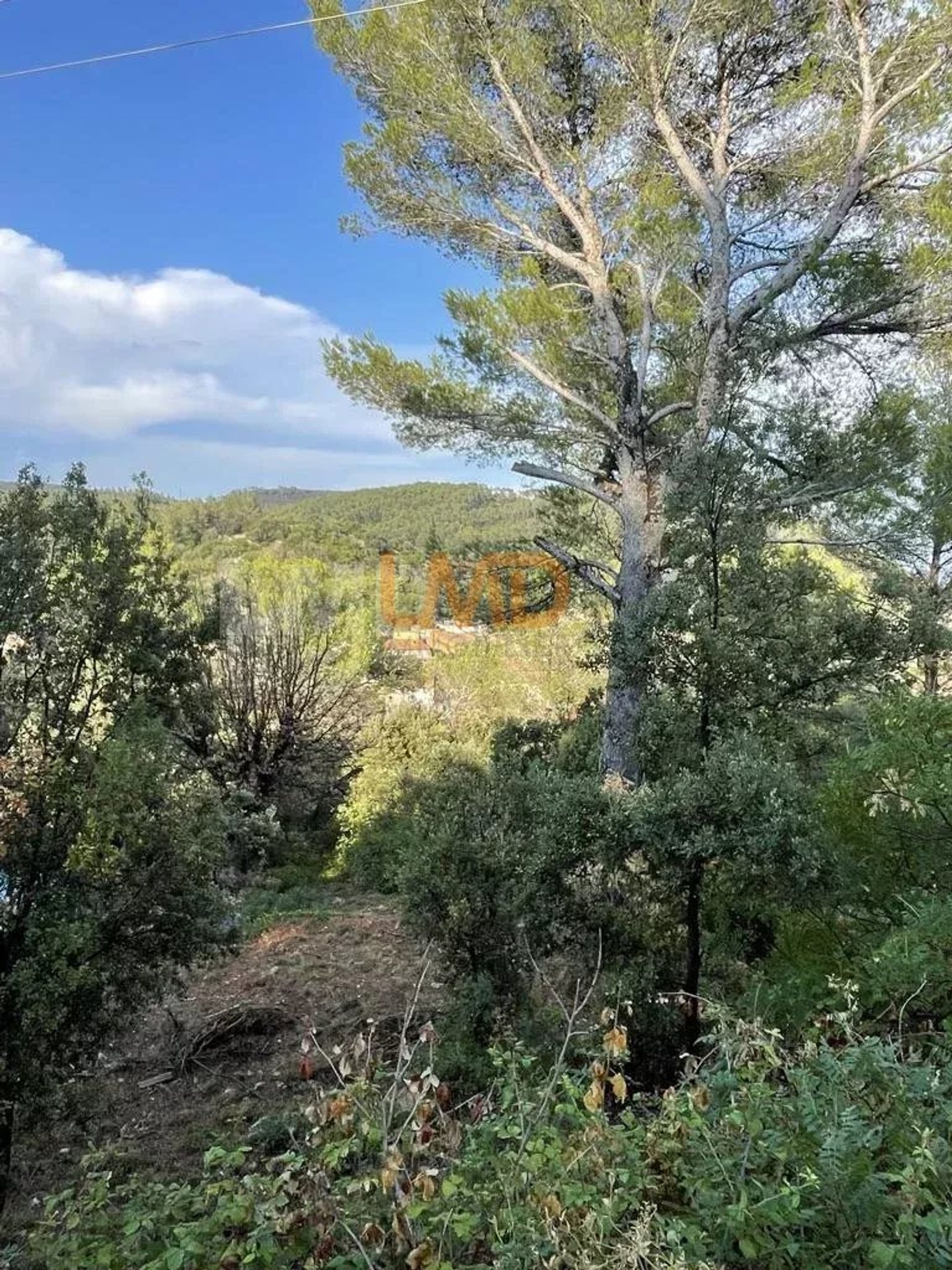 Land i Le Luc, Provence-Alpes-Cote d'Azur 12774885