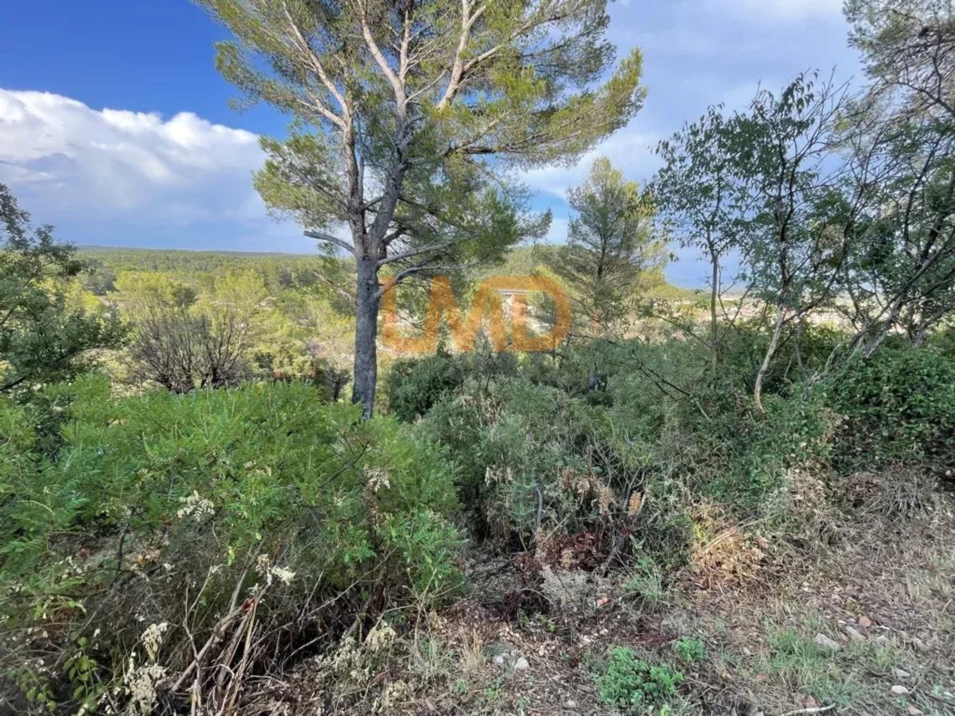 Land im Le Luc, Provence-Alpes-Côte d'Azur 12774885