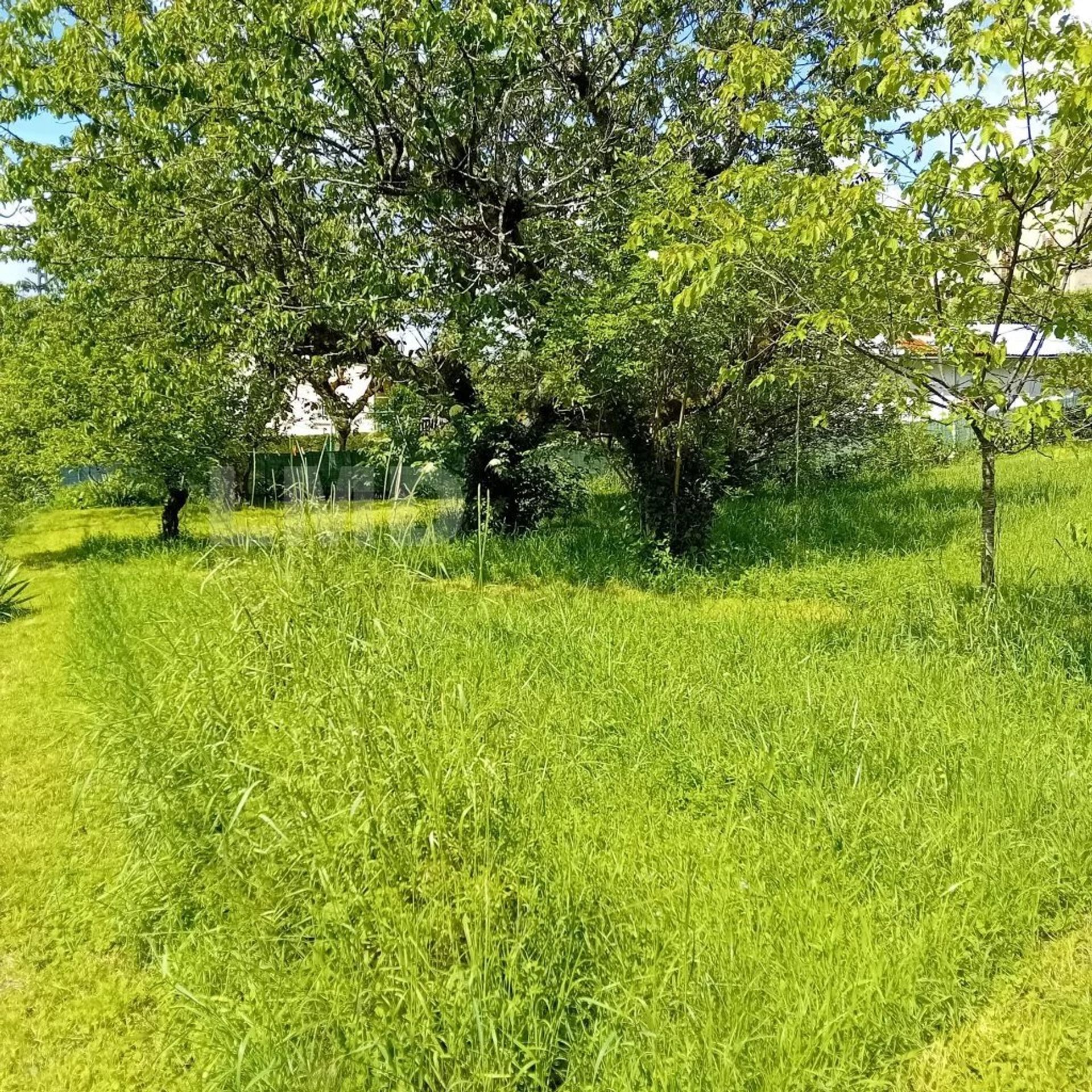 House in Aubin, Aveyron 12774924