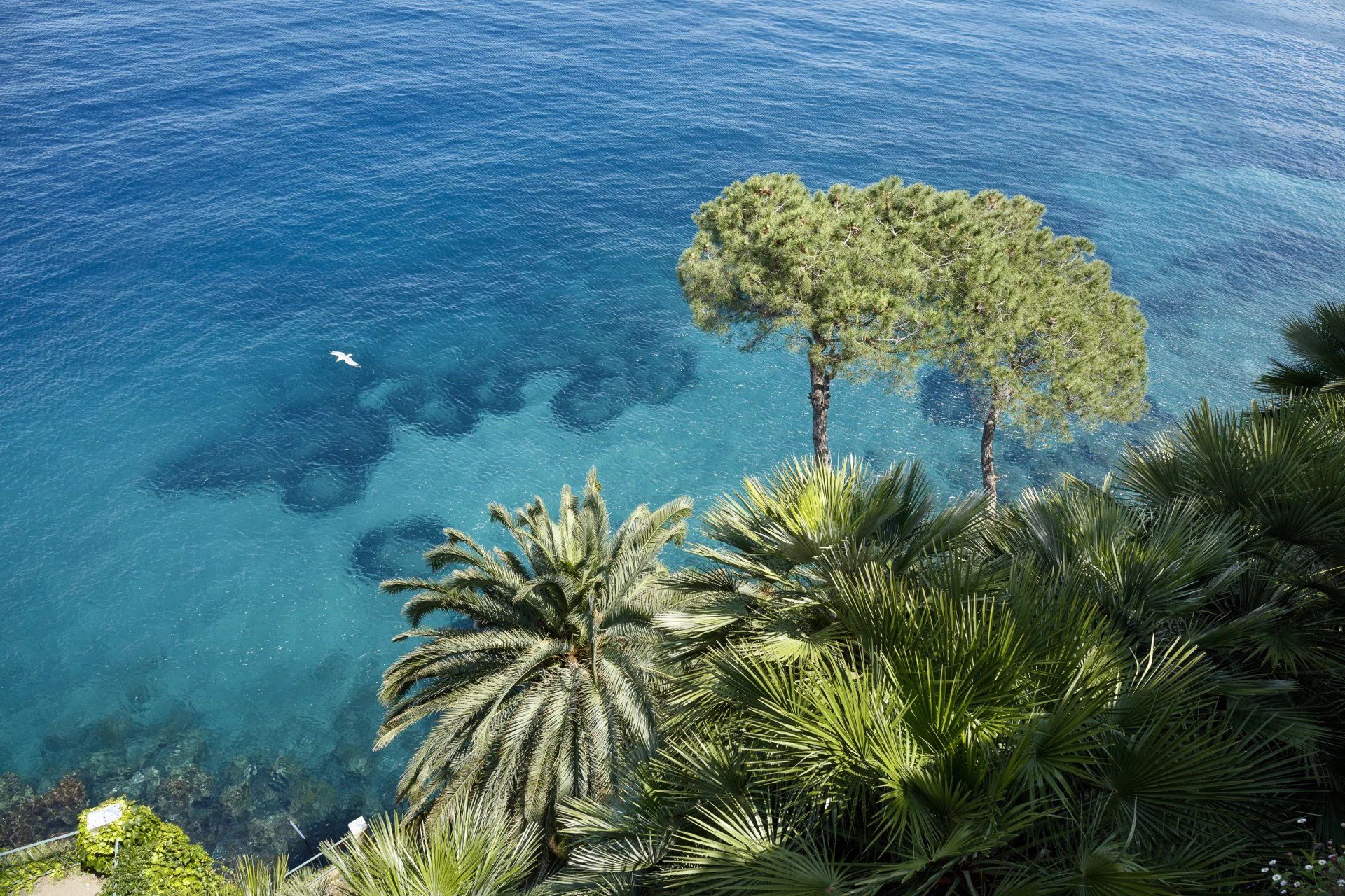 жилой дом в Sorrento, Napoli 12775321