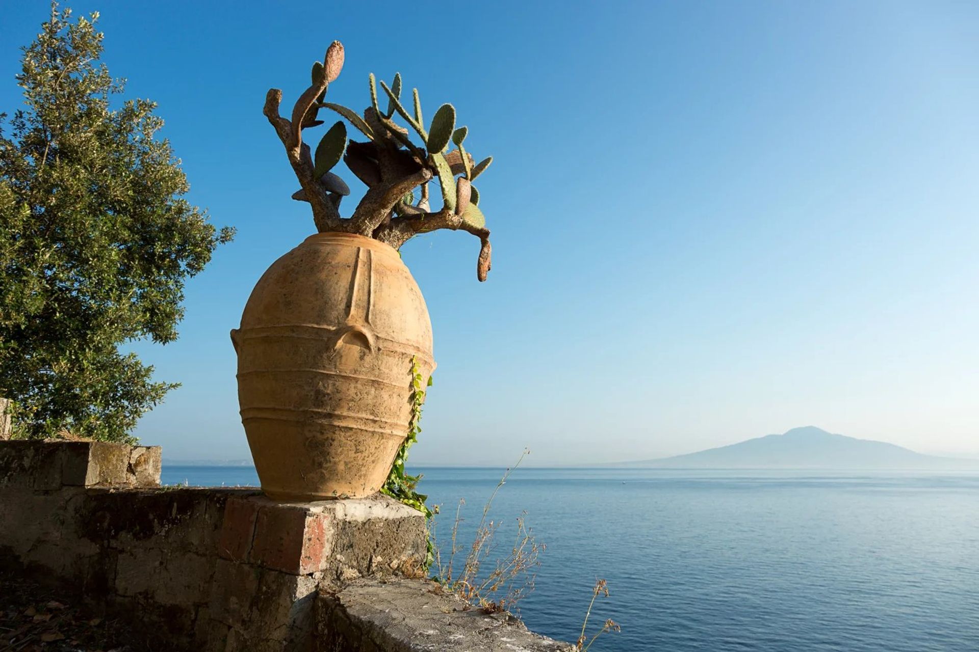 House in Sorrento, Napoli 12775321