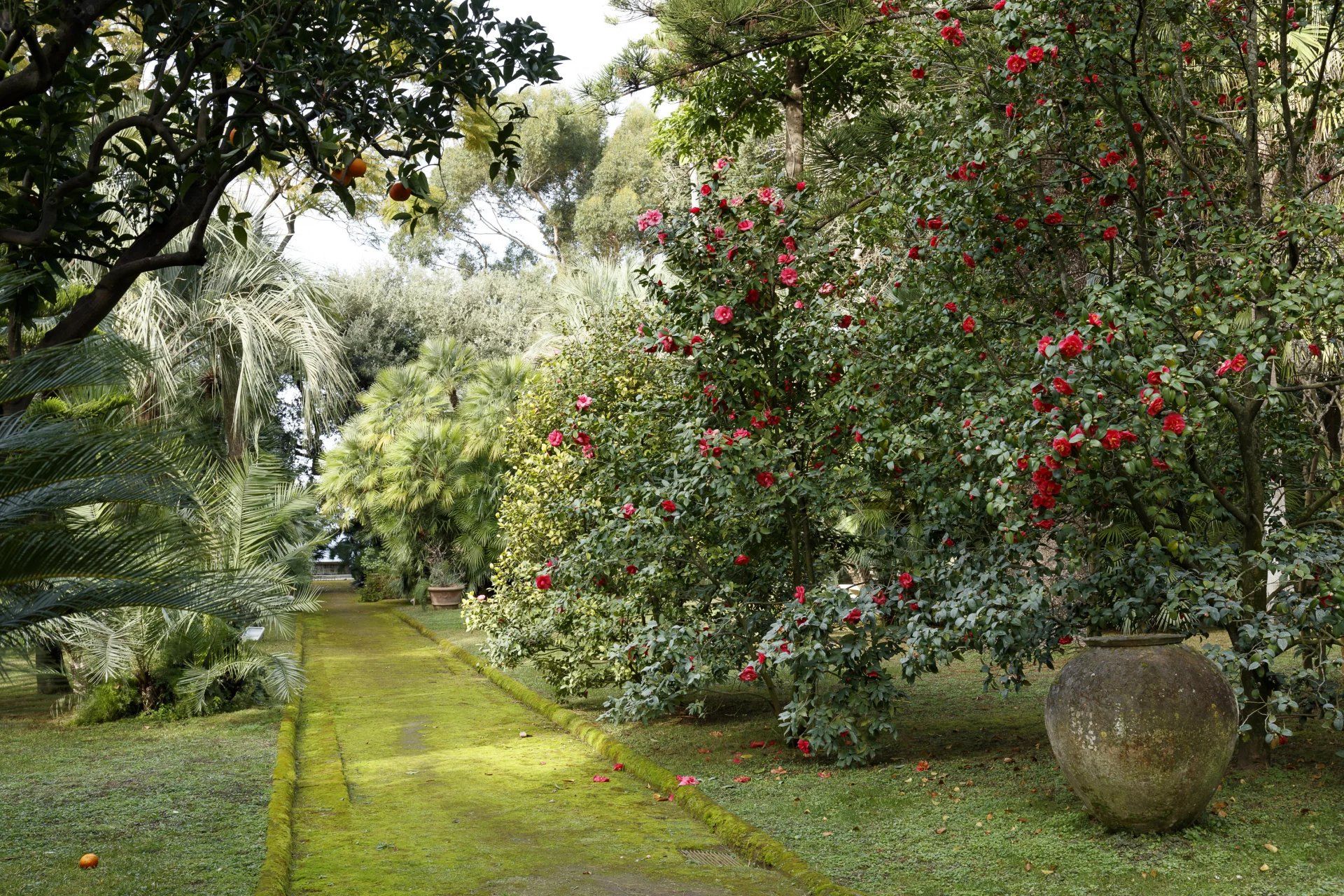 House in Sorrento, Campania 12775321