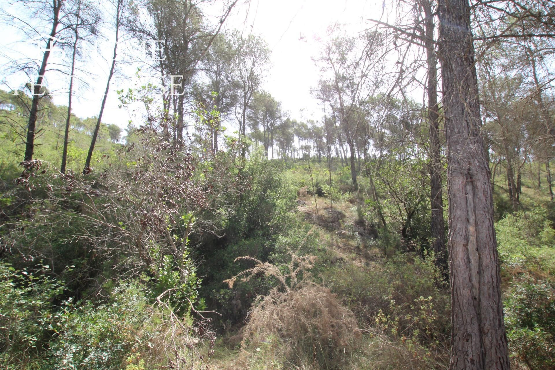 Tierra en Olivella, Catalunya 12775361