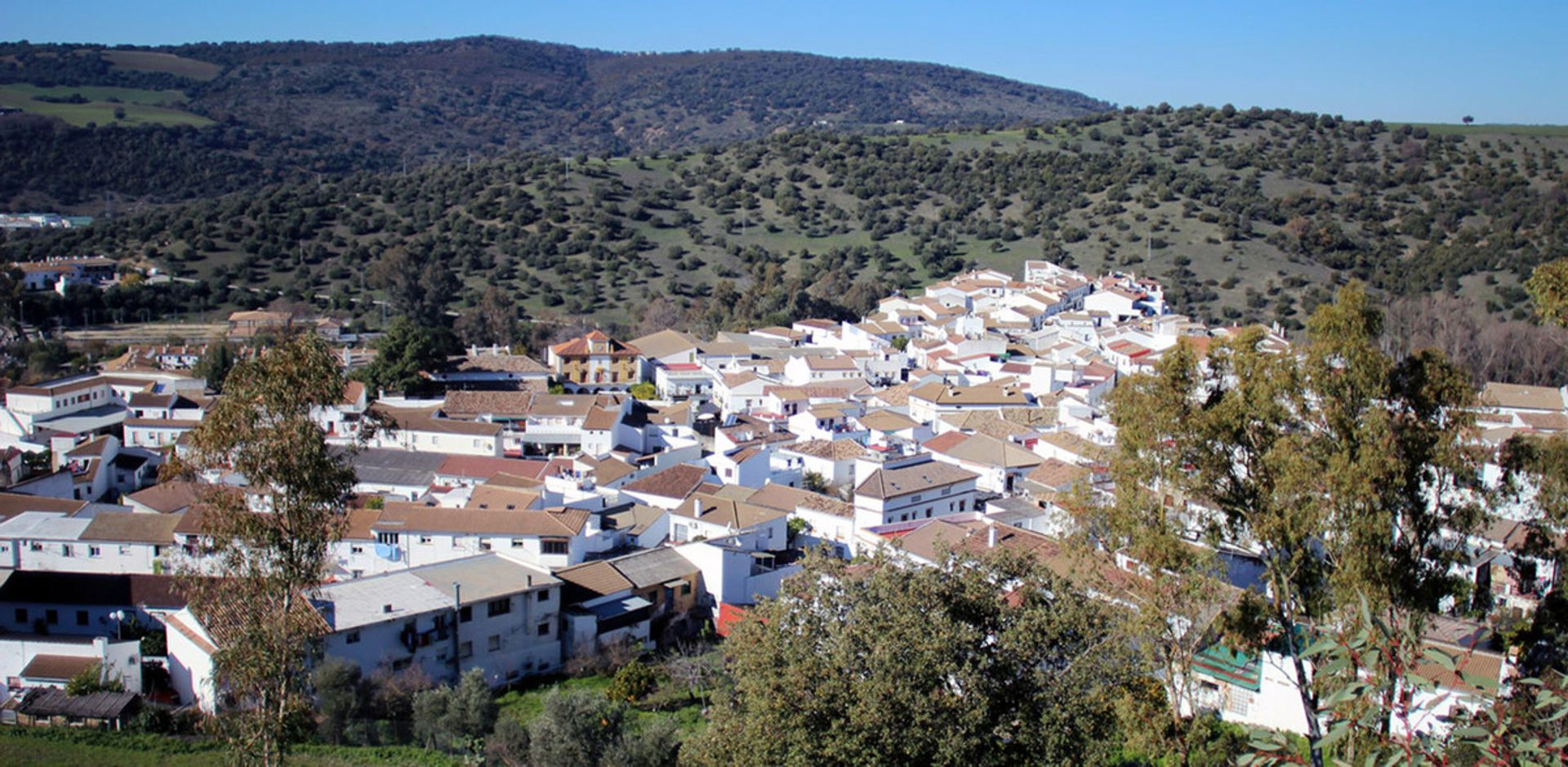 Land im El Bosque, Andalusien 12775972