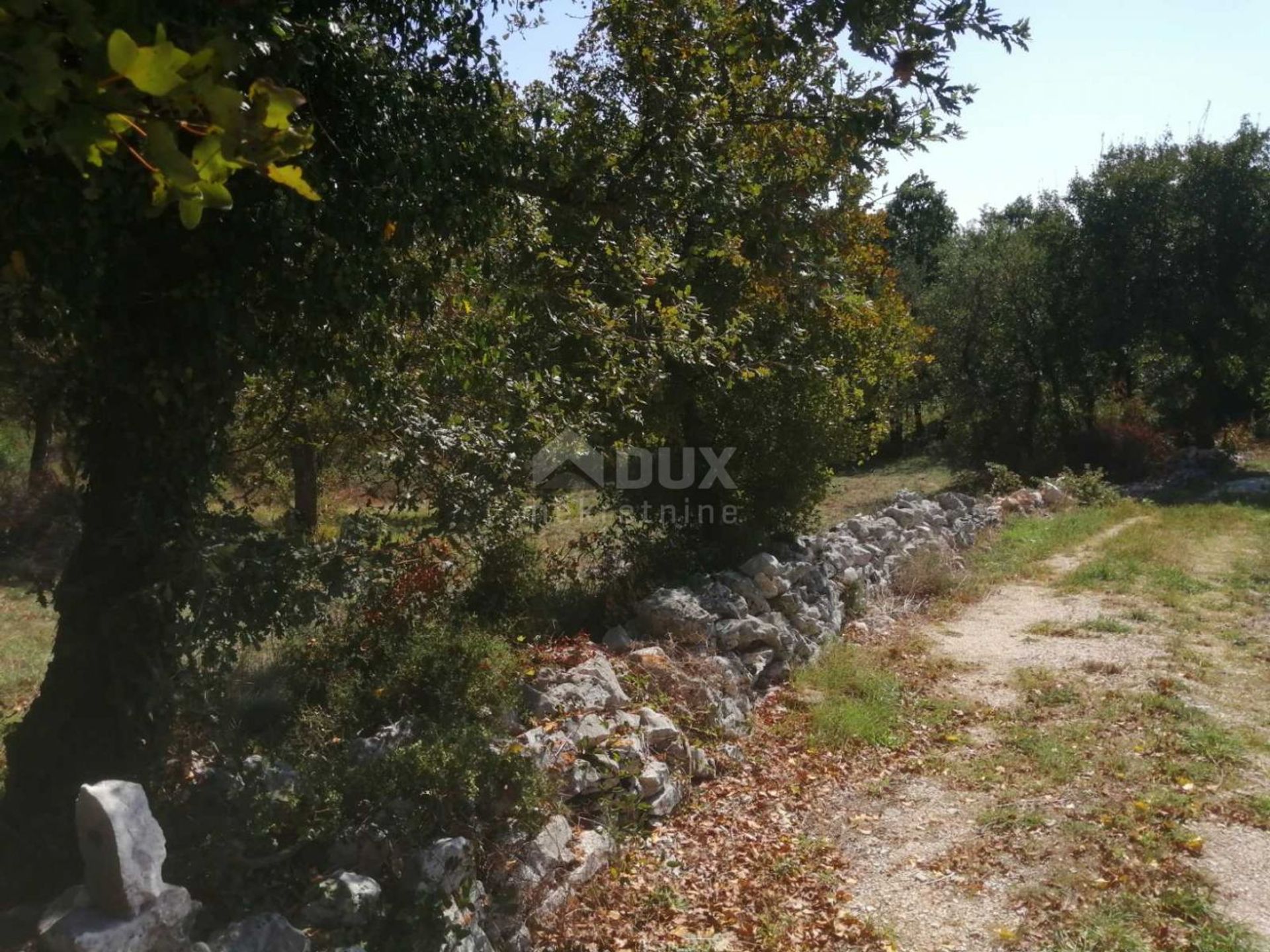 Tierra en Bale, Istria County 12776364