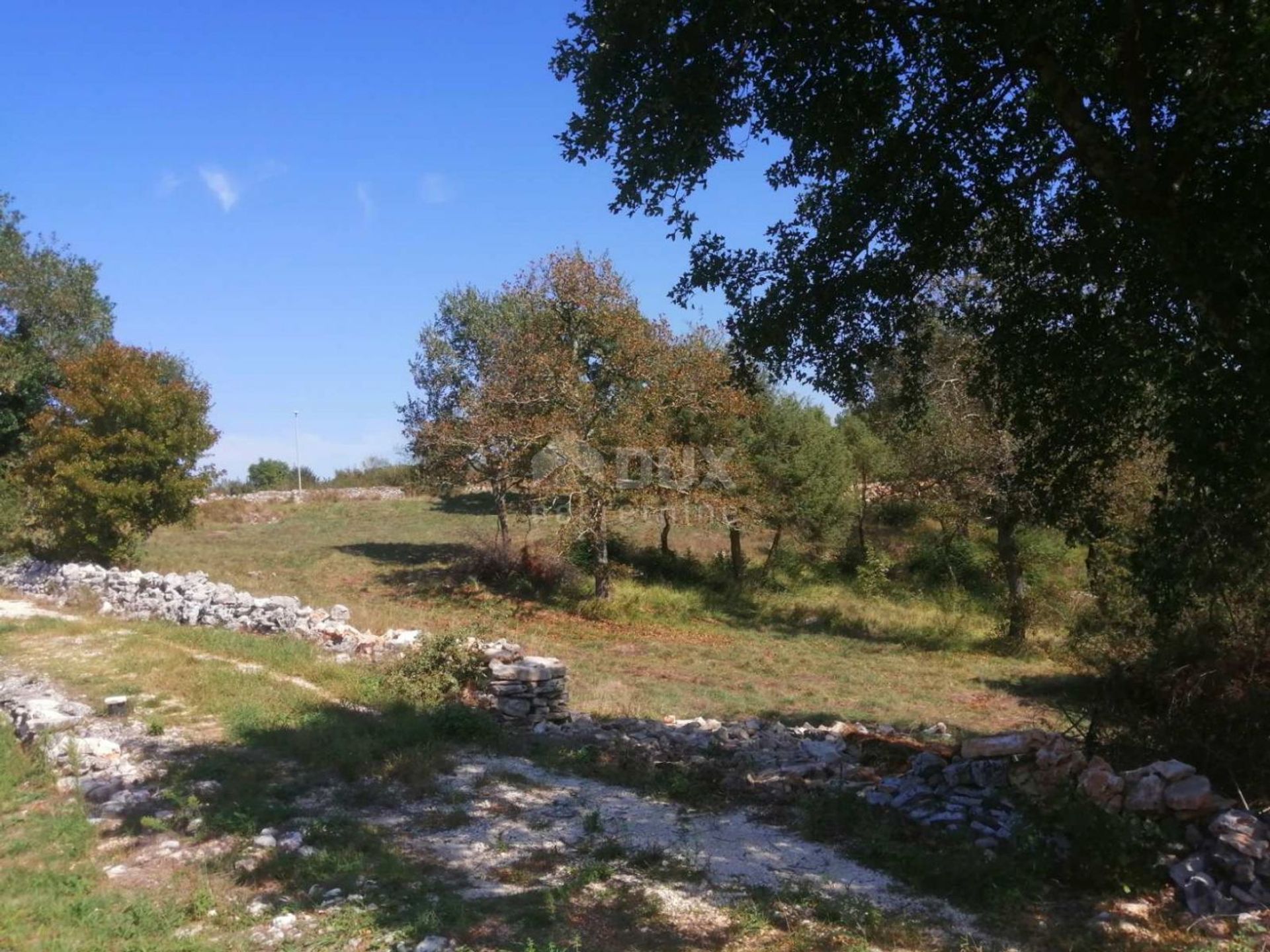 الأرض في Bale, Istria County 12776366