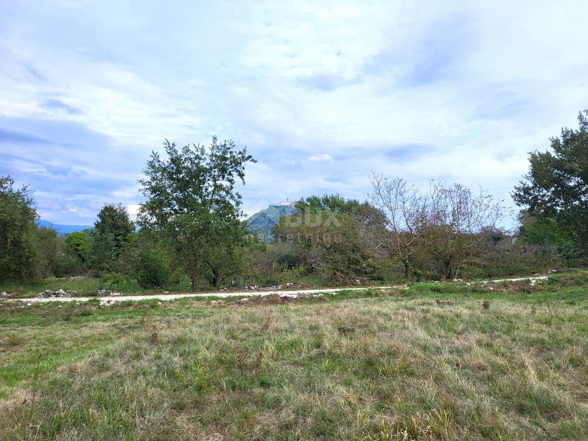 土地 在 Motovun, Istria County 12777178