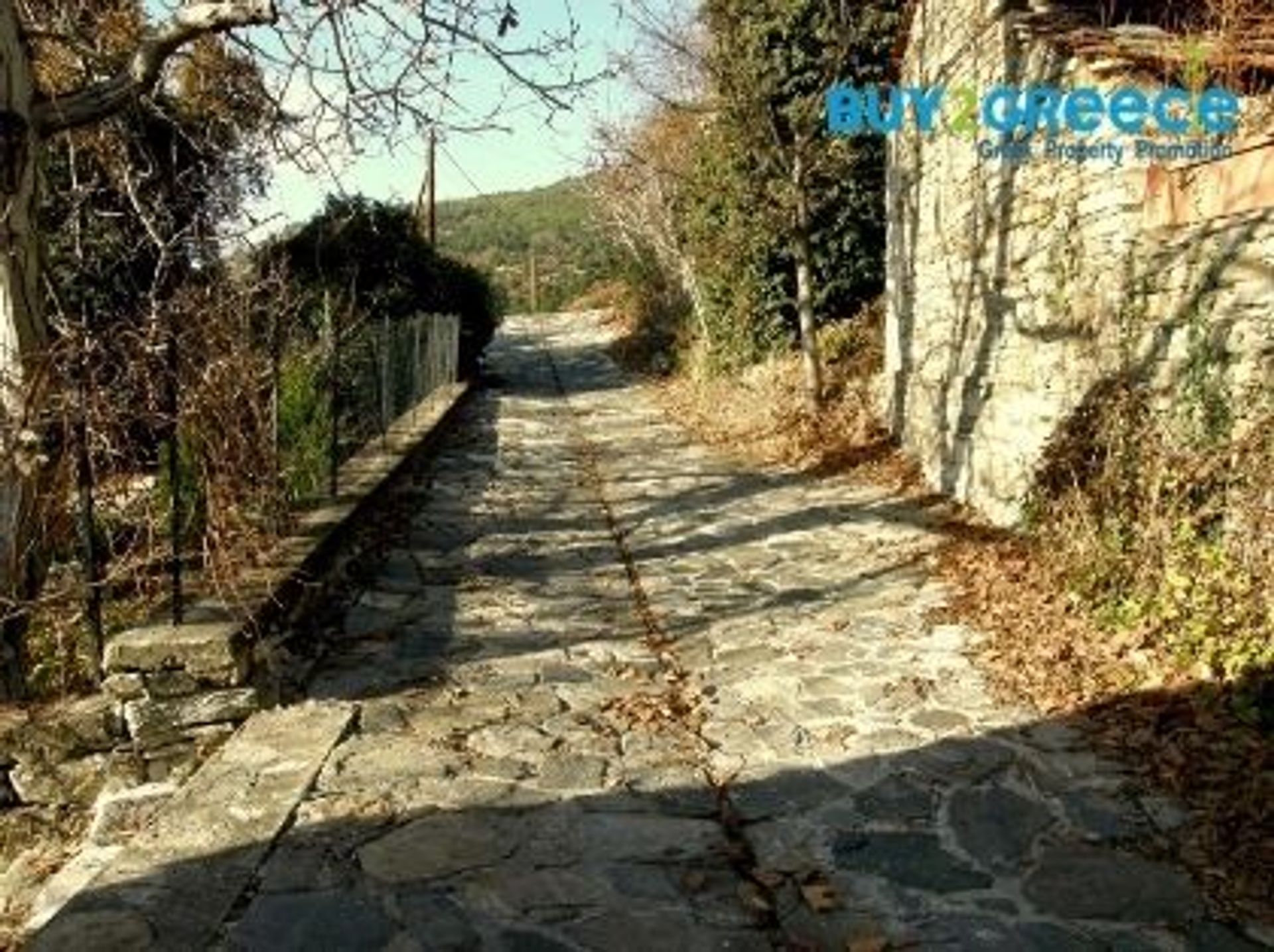 Land in Maries, Anatoliki Makedonia kai Thraki 12778656