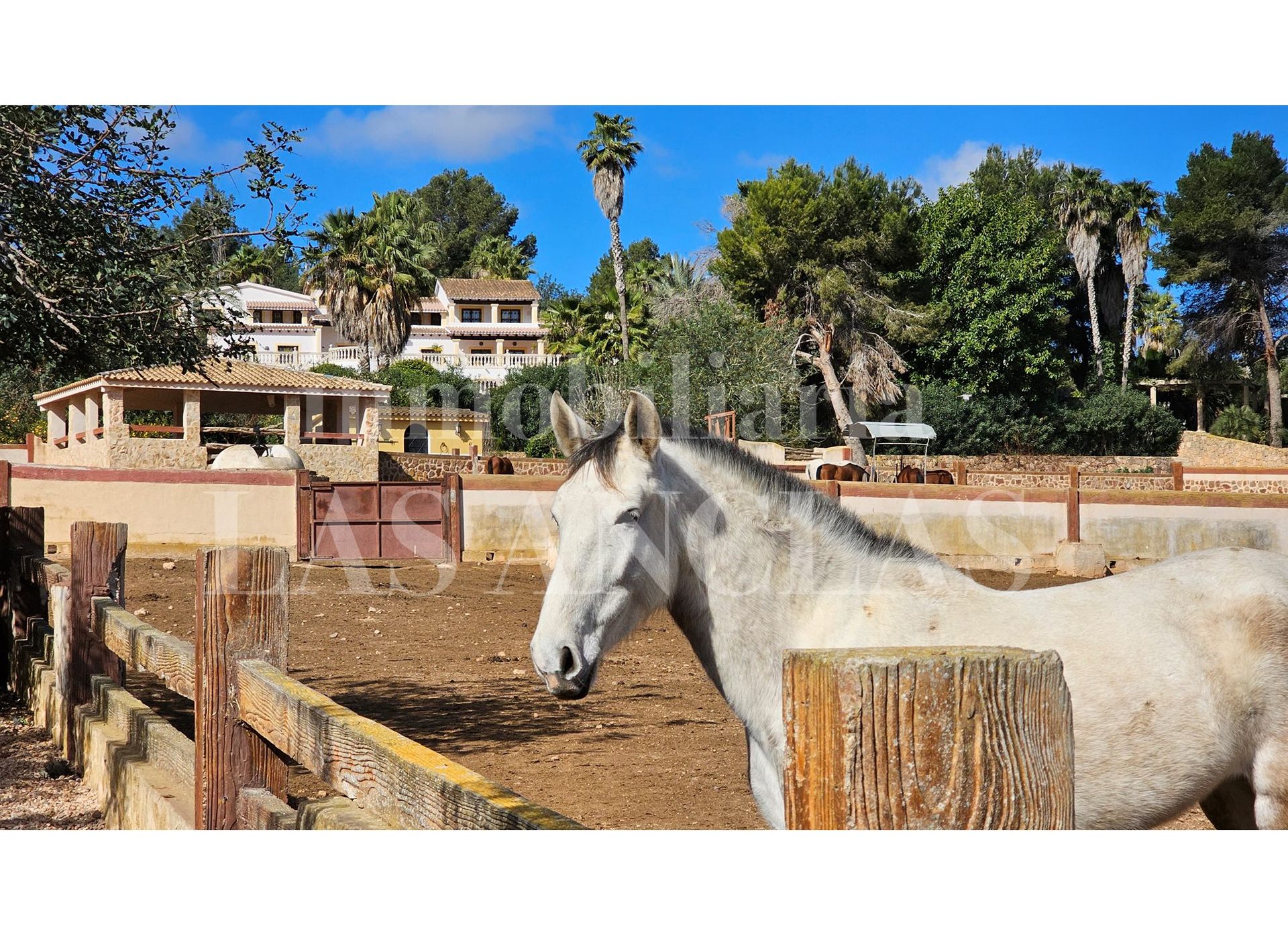 casa en Santa Gertrudis, Balearic Islands 12779029