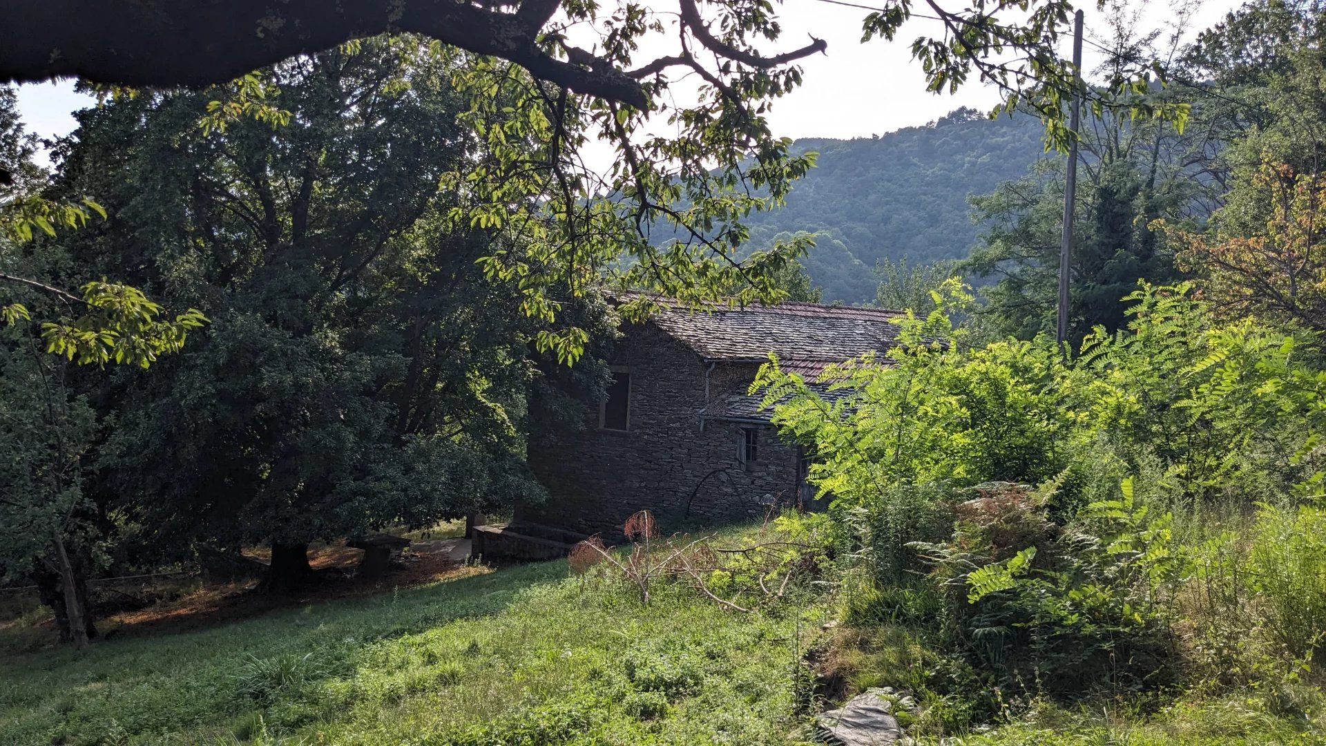 Outro no Saint-Privat-de-Vallongue, Lozère 12779243